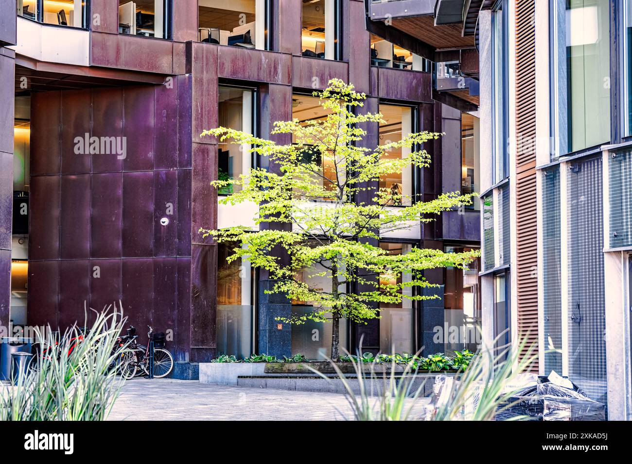 La vita quotidiana di Aker Brygge a Oslo, Norvegia Foto Stock