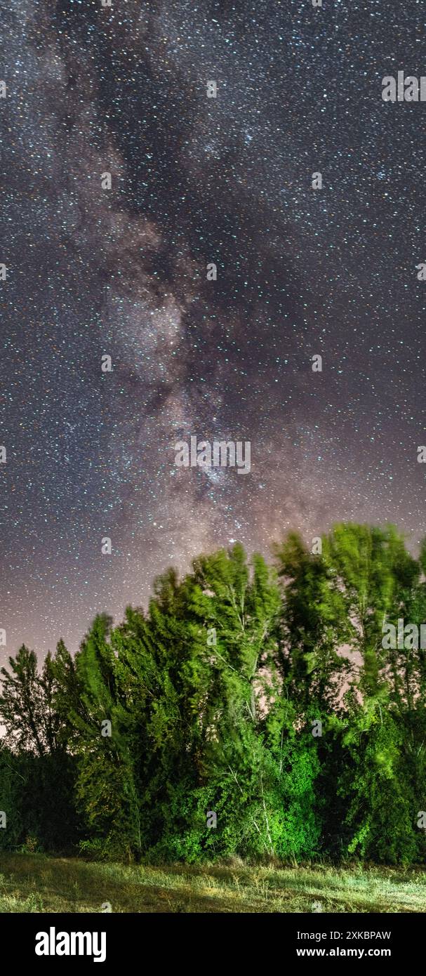 La vivace galassia della via lattea risplende sulla foresta di Fuenteheridos, provincia di Huelva, Andalusia, Spagna. Perfetta notte stellata per catturare meraviglie astronomiche Foto Stock