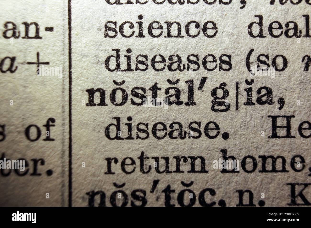 Nostalgia delle parole sulla pagina del dizionario, primo piano macro Foto Stock