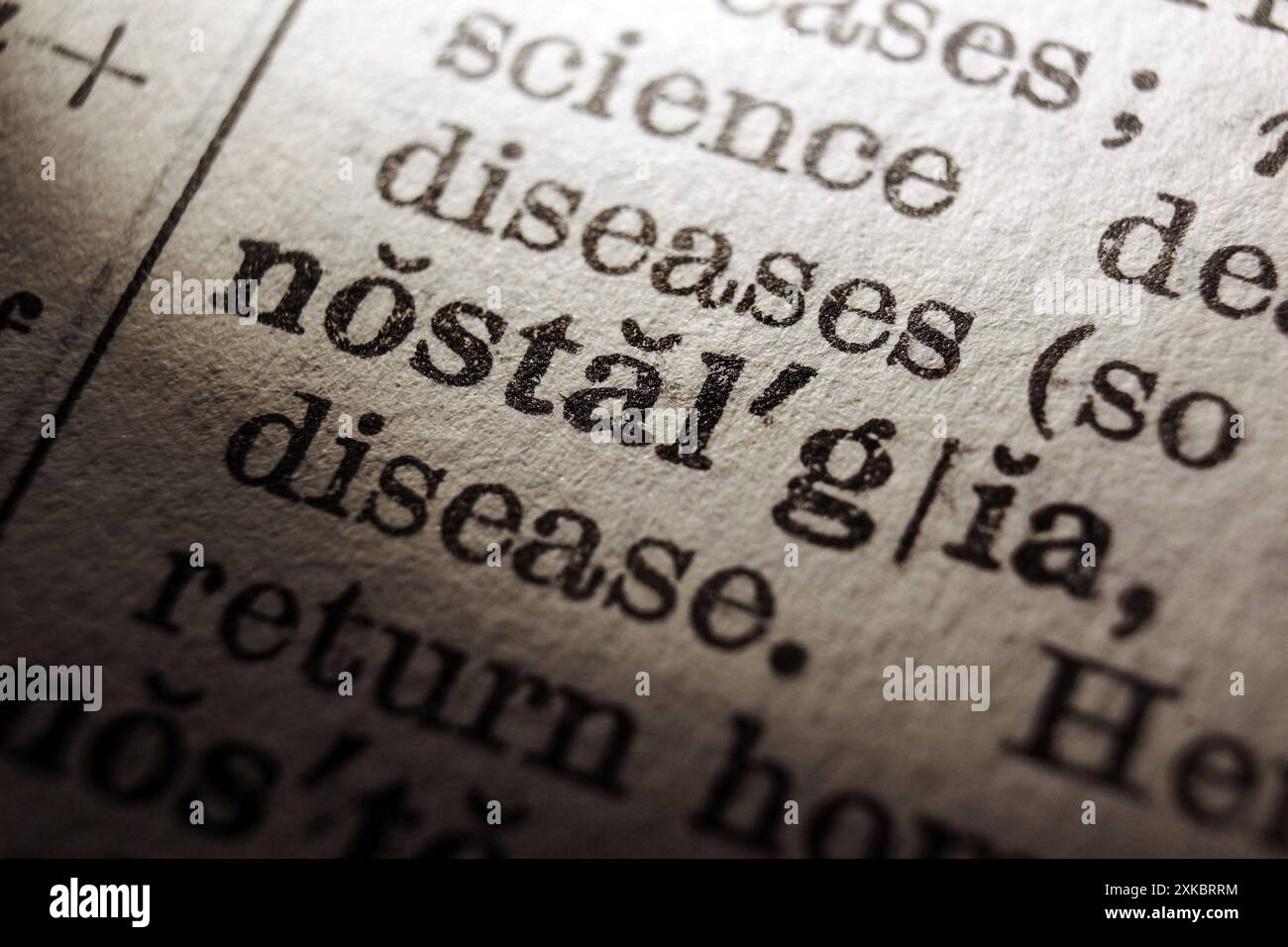 Nostalgia delle parole sulla pagina del dizionario, primo piano macro Foto Stock