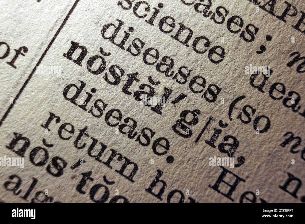 Nostalgia delle parole sulla pagina del dizionario, primo piano macro Foto Stock