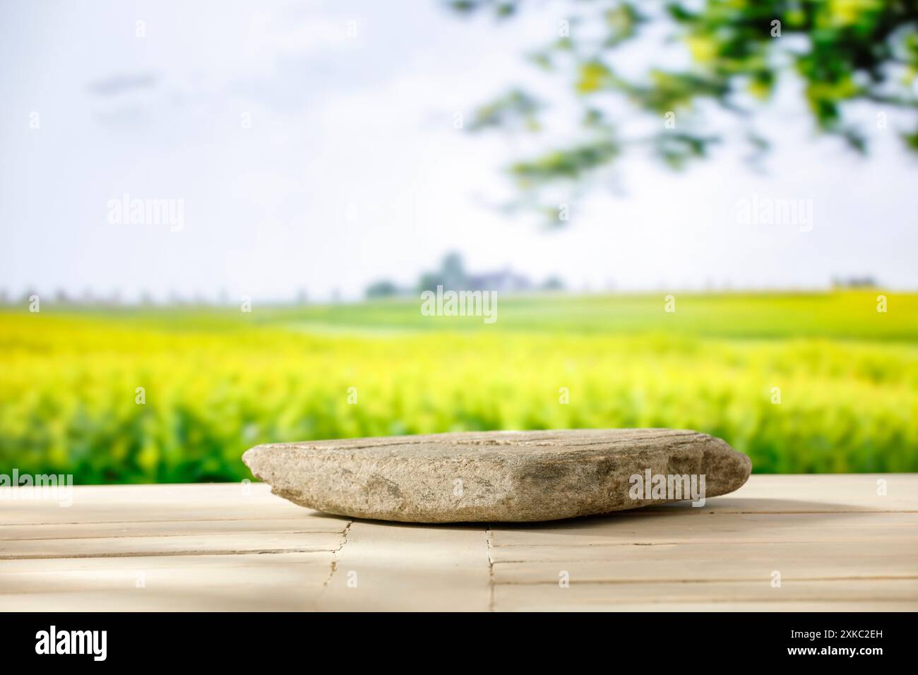 Stativo vuoto con peperoni rossi e verdure di pomodoro su un tavolo in legno con spazio per l'esposizione di prodotti e oggetti da montaggio. Area verde. Foto Stock