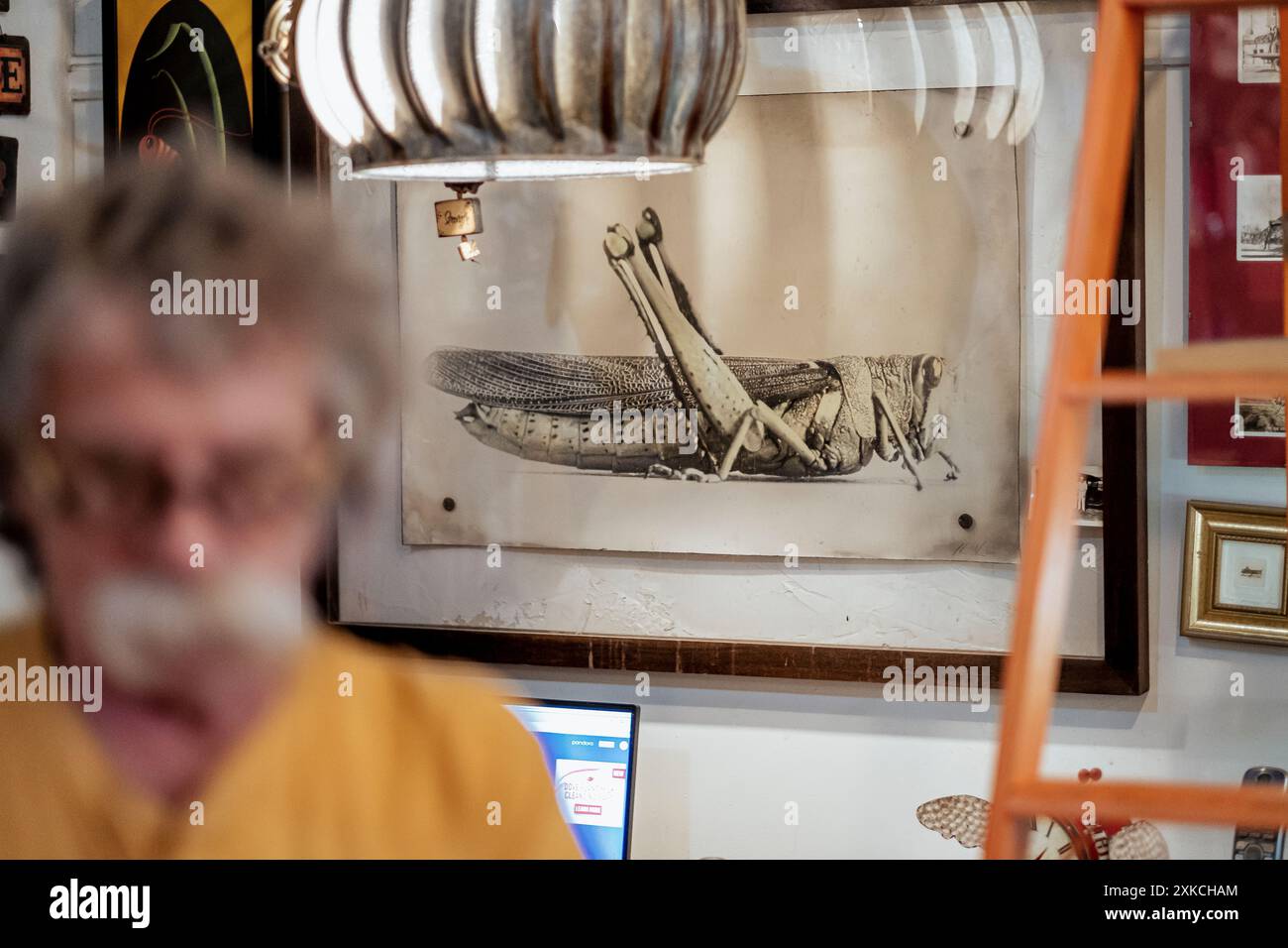 S.D. Meadows Folk Art Gallery in Palestine, Illinois, USA. L'arte di Meadows è fatta principalmente di materiale riciclato. Foto Stock