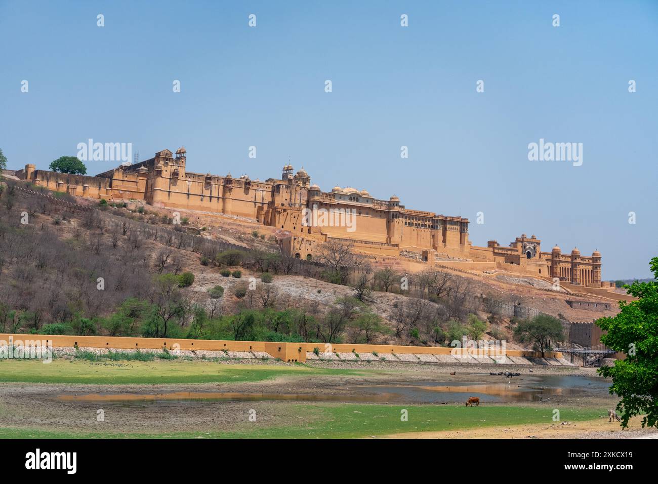Amber Fort Rajasthan, Jaipur, India Foto Stock