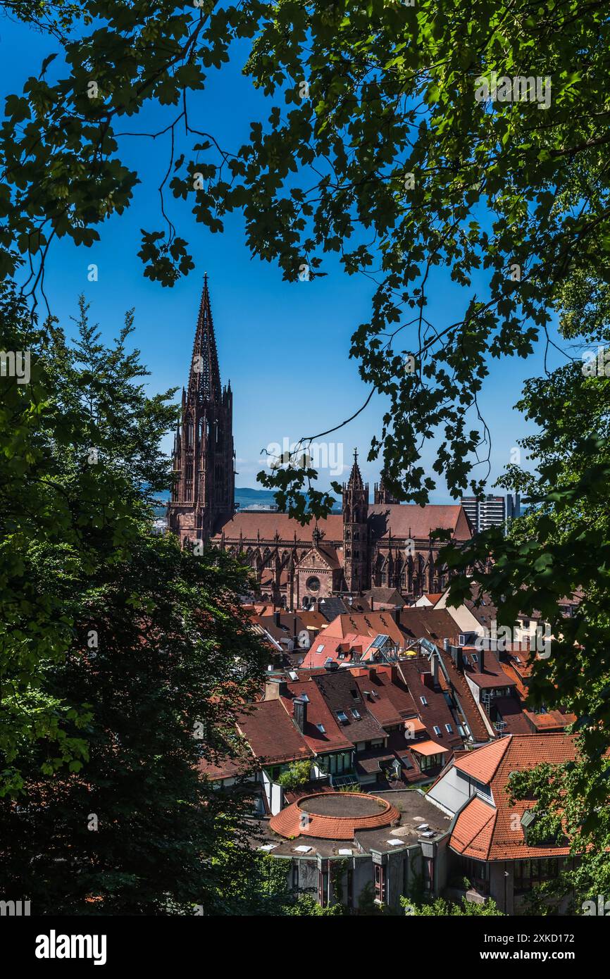 Vista della cattedrale di Friburgo in Brisgovia (Freiburger Munster), Germania sud-occidentale. Verticale con spazio di copia. Foto Stock