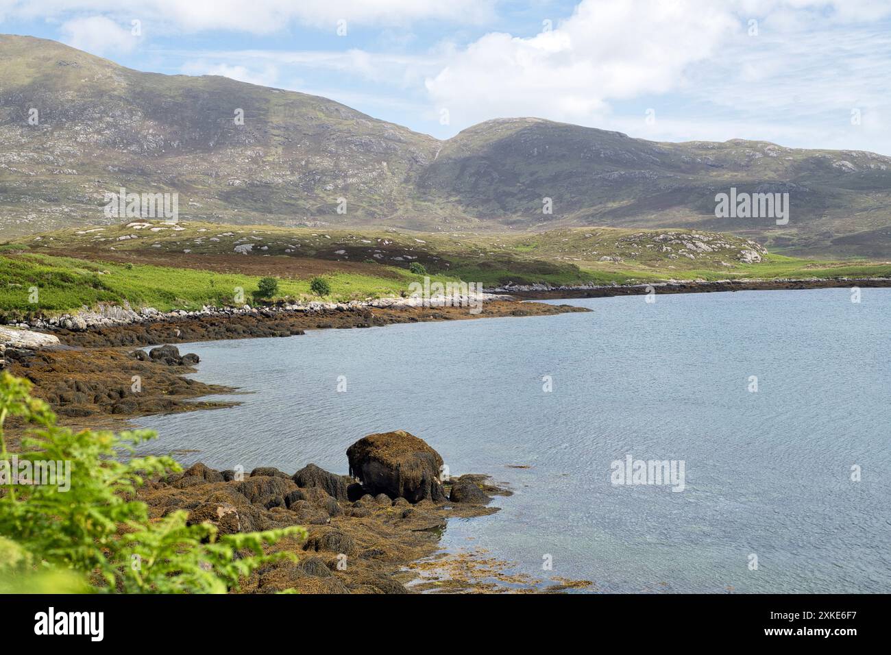 Parte di Loch Aineort, o Eynort, South Uist, Ebridi esterne Foto Stock