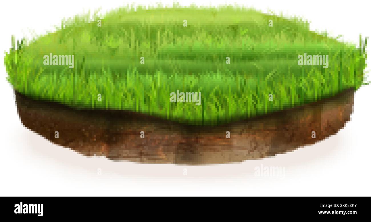Terreno realistico. appezzamenti circolari di terra 3d, sezione di terra isolata galleggiante prato erba verde, campo campo campo campo pedone pezzo ambiente eco pubblicità grafica esatta vettoriale autori Illustrazione Vettoriale