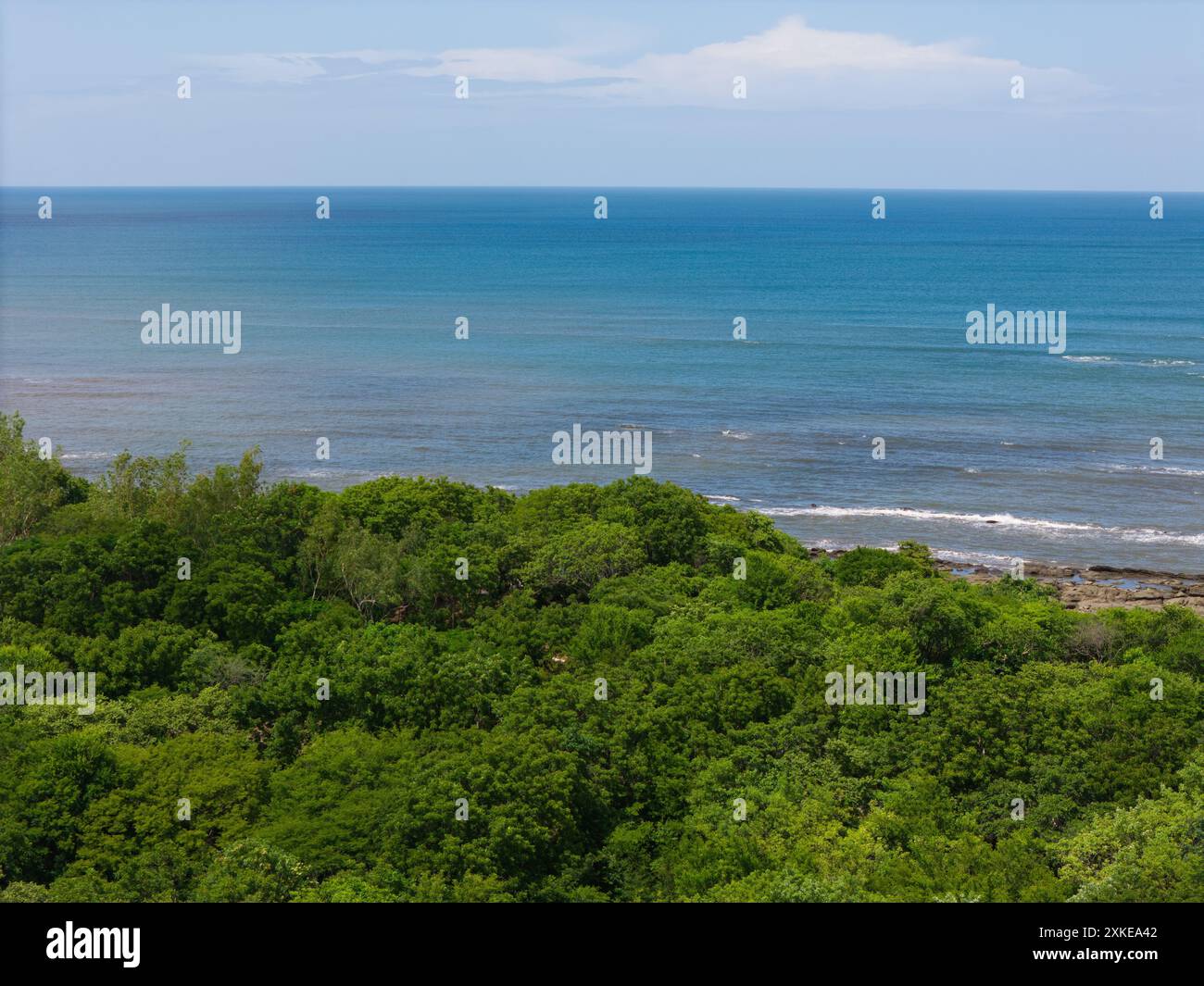 Natura alberata sul mare blu e sullo sfondo del cielo in una giornata di sole Foto Stock