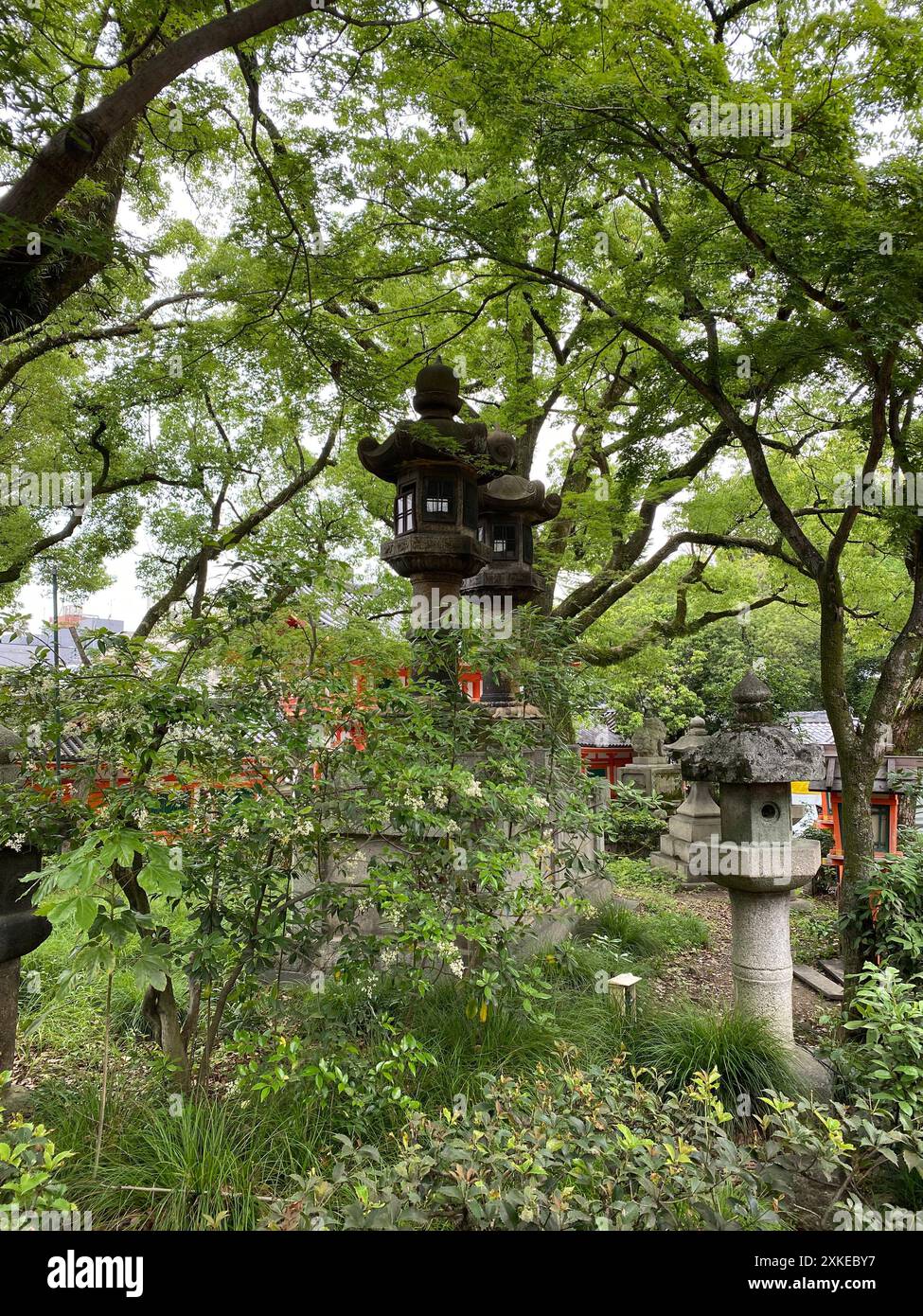 Foto di una lanterna giapponese in pietra nel giardino al santuario Yasaka o al santuario Gion, un santuario shintoista nel distretto Gion di Kyoto, Giappone. Foto Stock