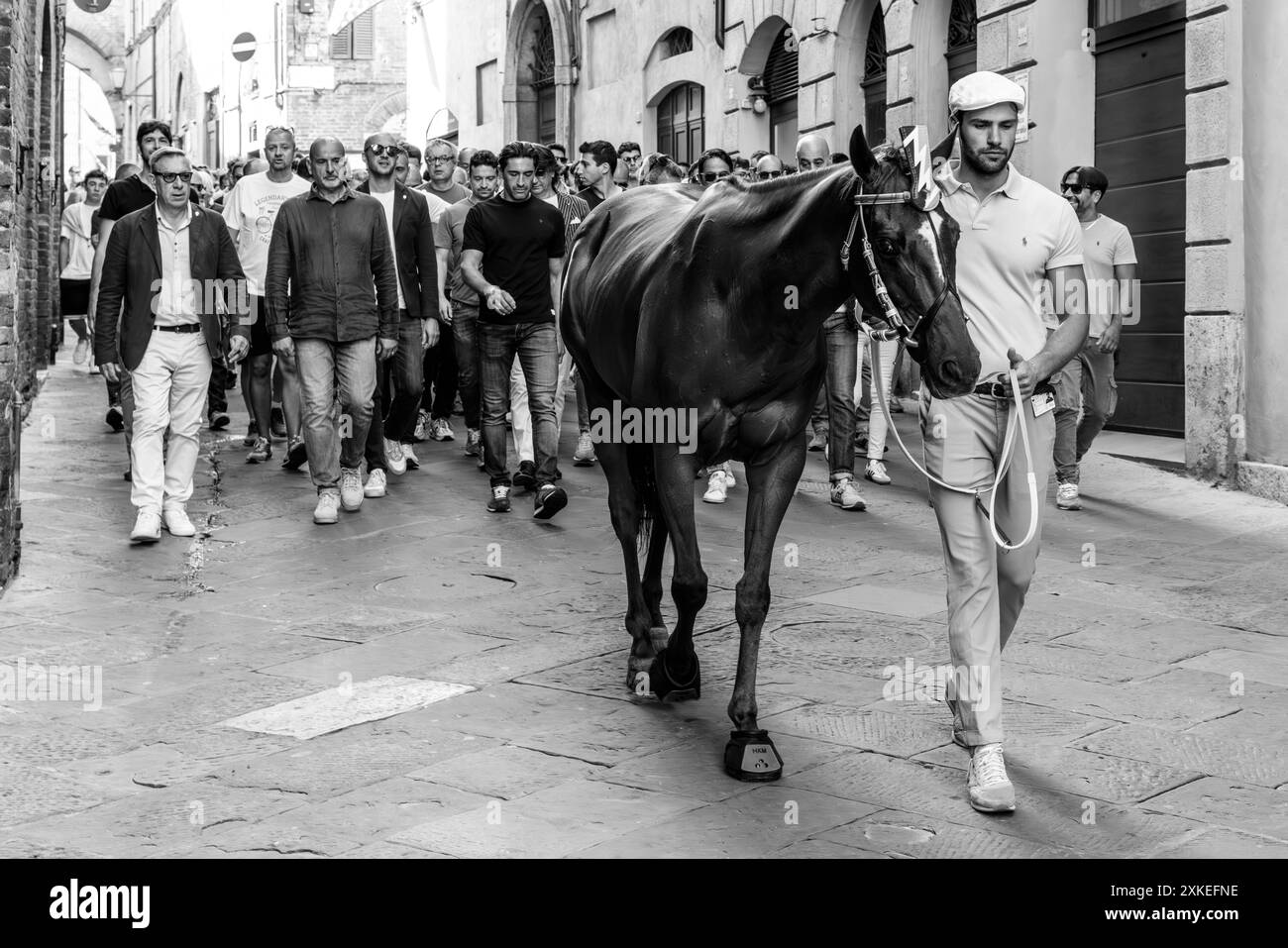 La Contrada Valdimontone porta il suo cavallo per le strade di Siena fino a Piazza del campo per Una corsa di prova mattutina, il Palio, Siena, Italia. Foto Stock