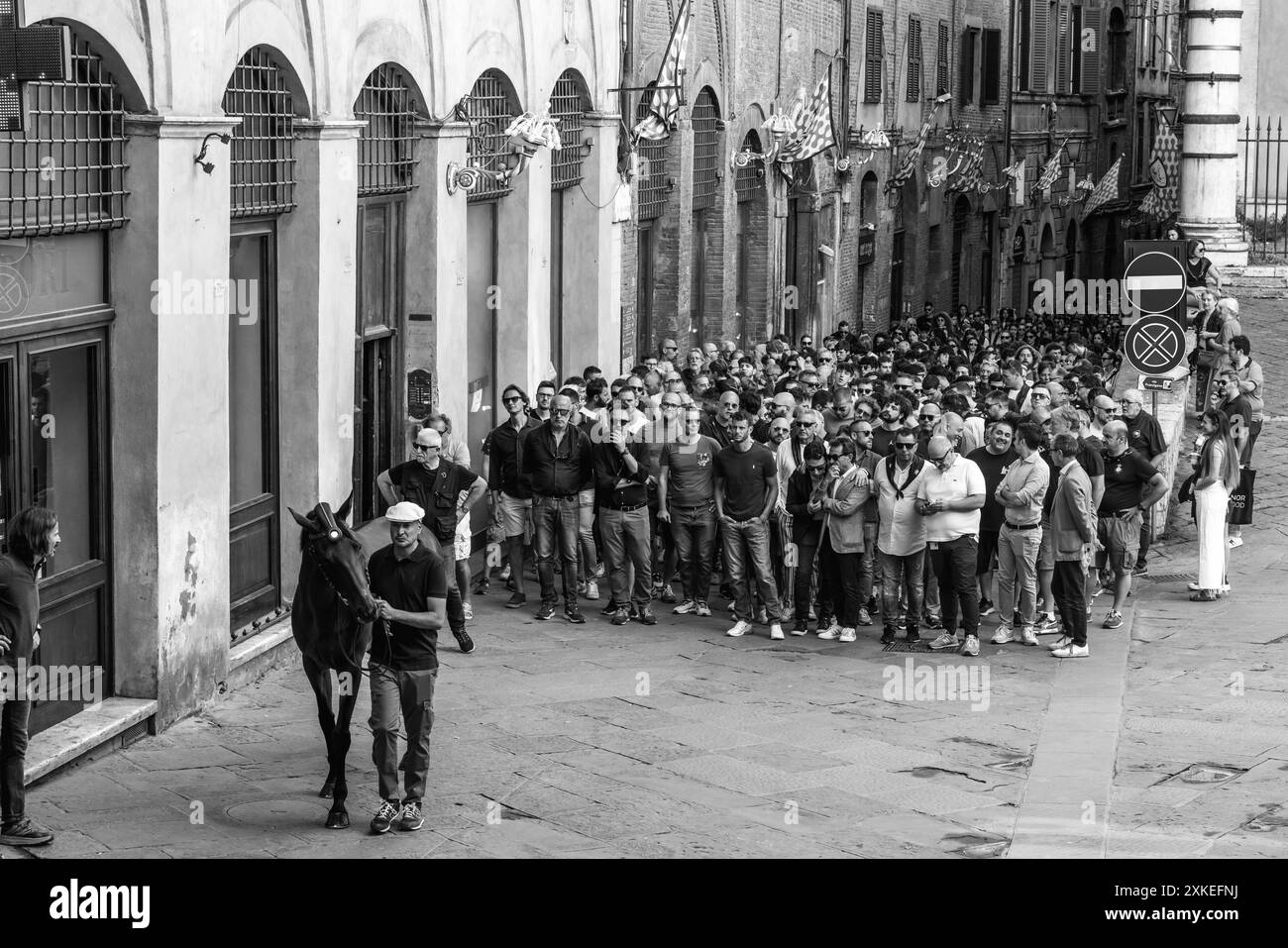 La Contrada Nicchio (Shell) porta il suo cavallo per le strade di Siena fino a Piazza del campo per Una corsa di prova mattutina, il Palio, Siena, Italia. Foto Stock