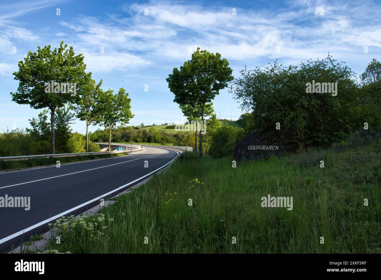 Erba verde e alberi vicino a una strada in una serata primaverile in Renania Palatinato, Germania. Foto Stock