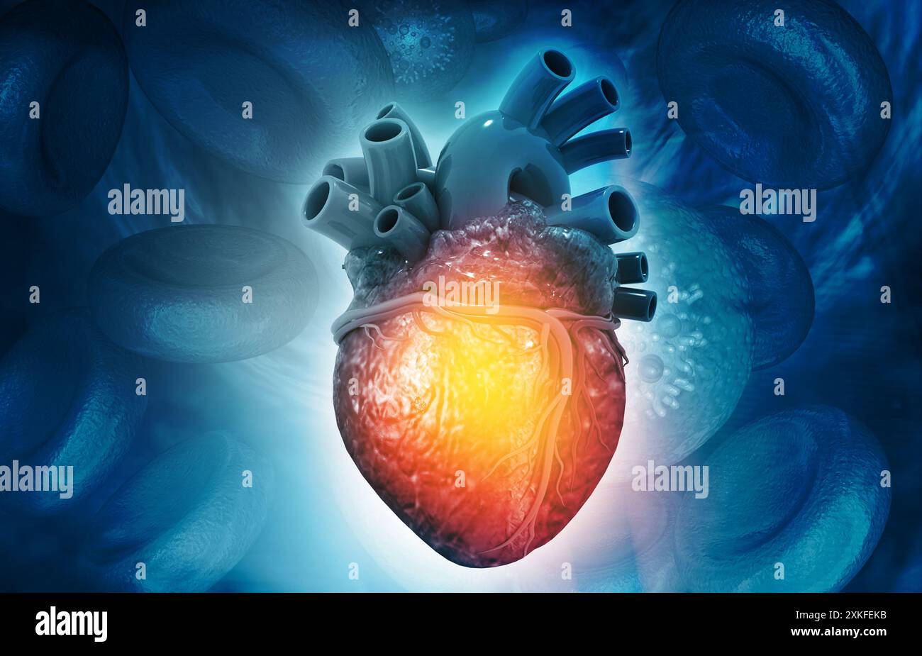 Anatomia del cuore umano su sfondo medico. rendering 3d. Foto Stock