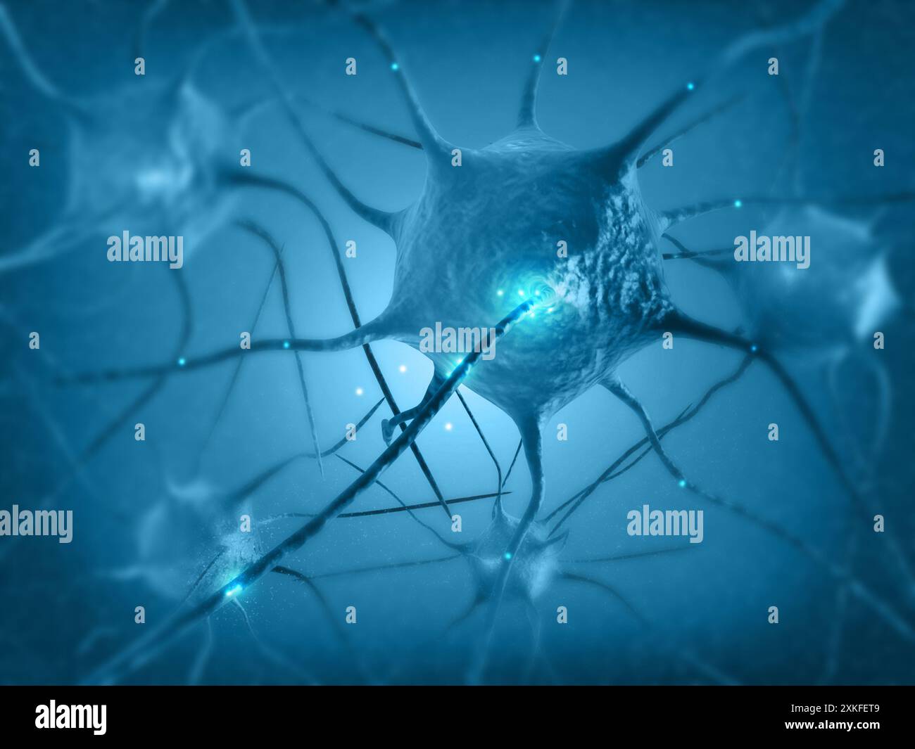 Rete neurale nel cervello. Sistema nervoso, neuroni. rendering 3d. Foto Stock