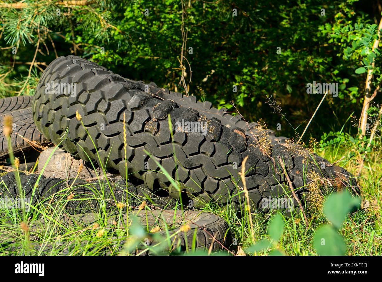Pneumatici vecchi e scartati adagiati tra erba e alberi sovrastati in una foresta, evidenziando l'inquinamento ambientale e i problemi di rifiuti. Foto Stock