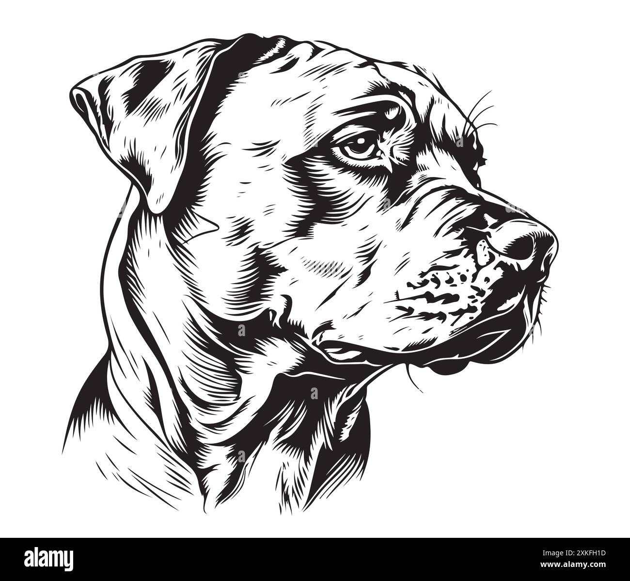 Scogliera della testa del cane Huntaway. Illustrazione vettoriale Illustrazione Vettoriale