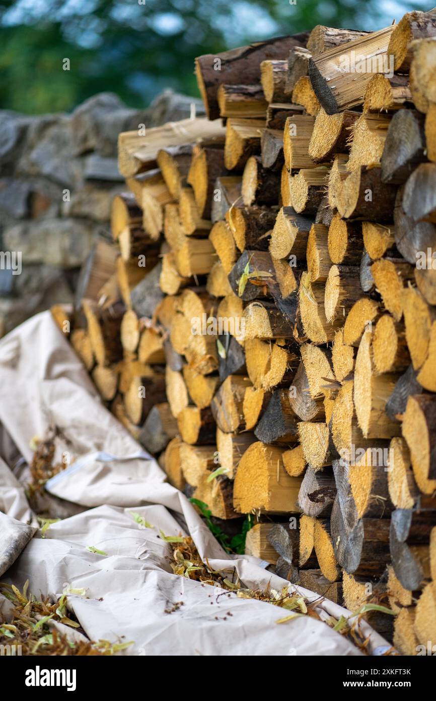 Legna da ardere preparata per l'inverno ripiegata sotto forma di muro. Foto Stock