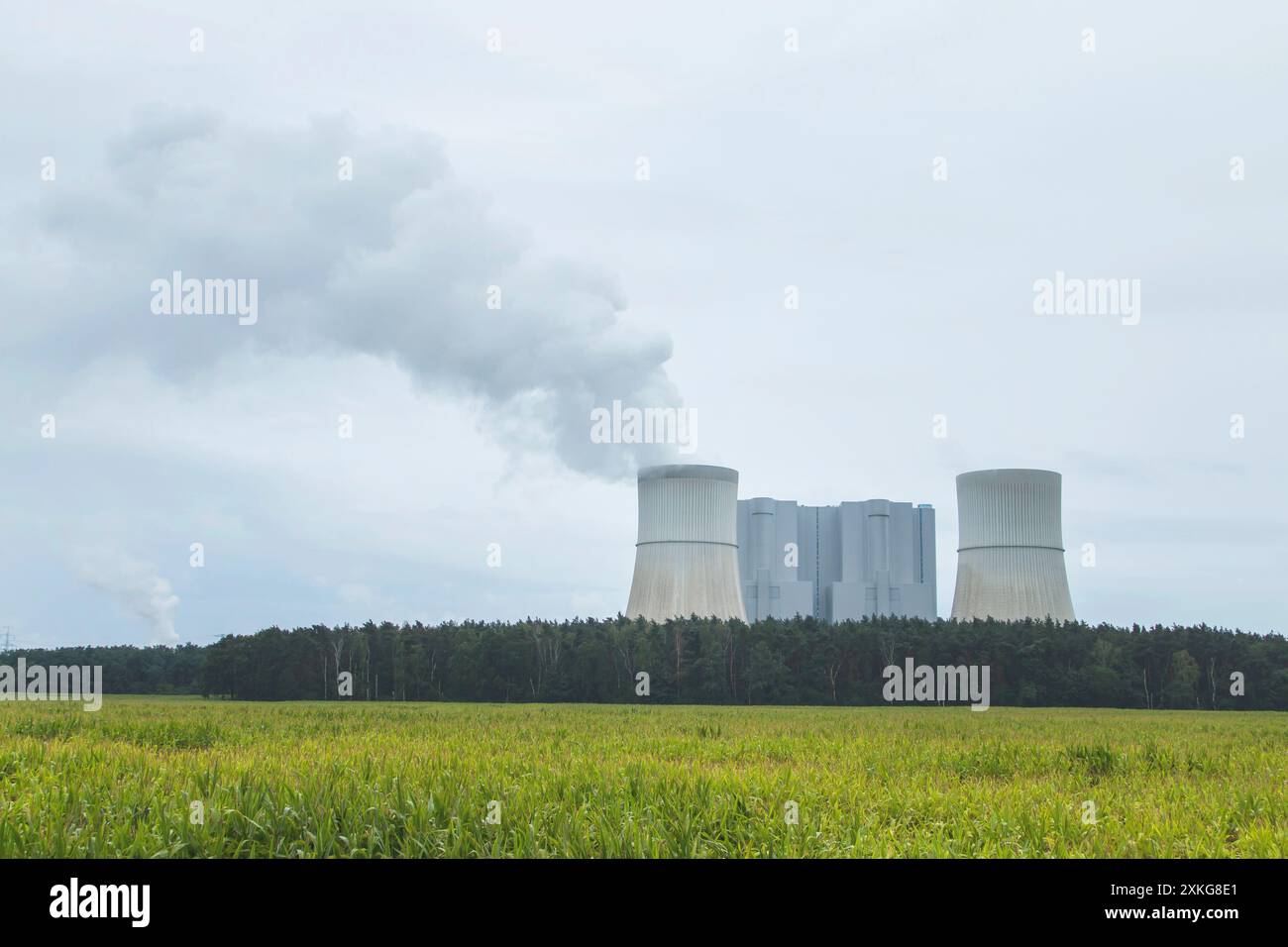 Paesaggio del campo con la centrale elettrica Schwarze Pumpe, Germania, Brandeburgo, Spremberg Foto Stock