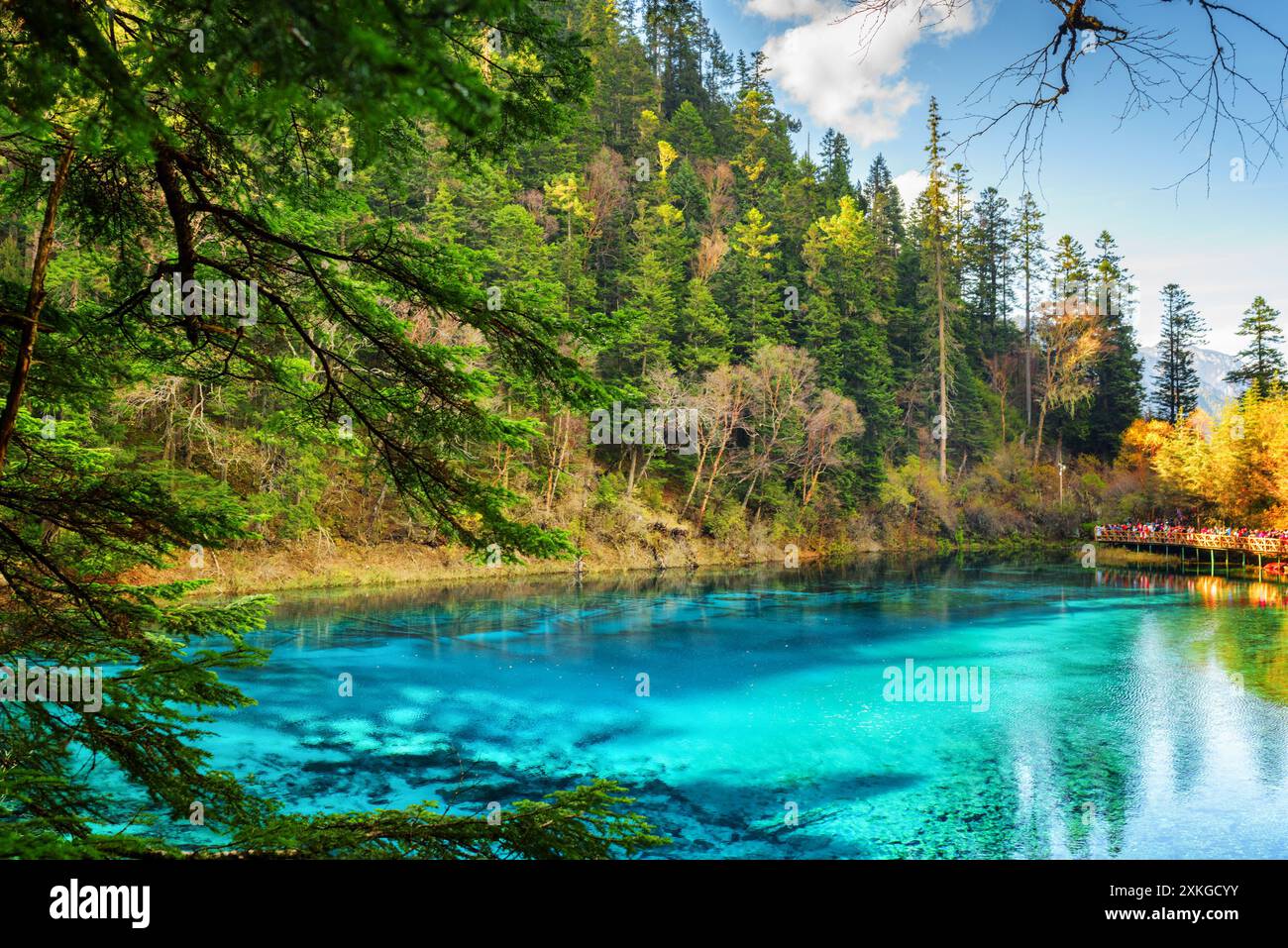 La piscina a cinque colori con acqua azzurra tra i boschi Foto Stock