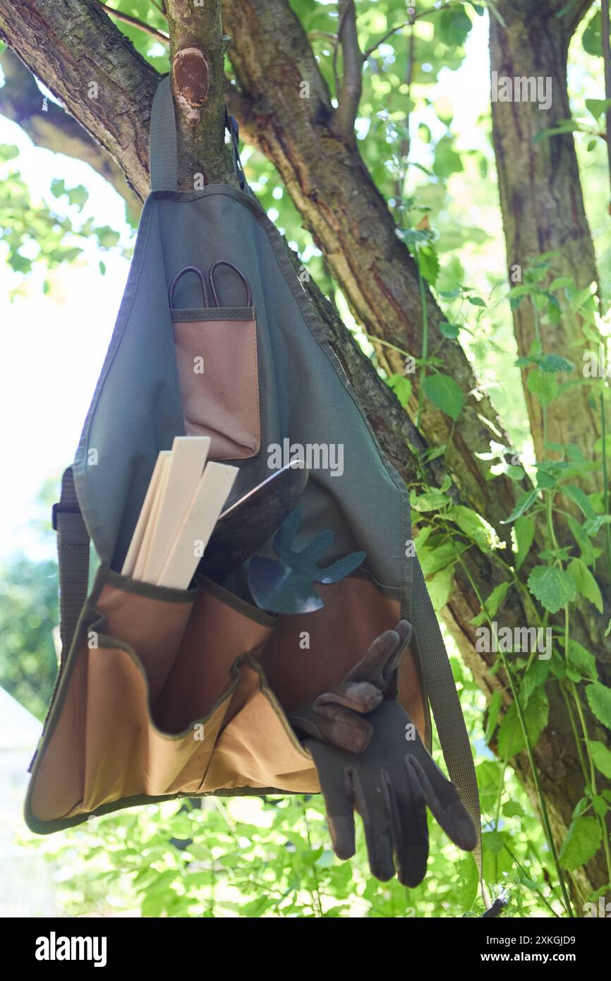 Attrezzi da giardinaggio, compresi guanti e frattazzatrici, appesi su un albero in un giardino con fogliame verde alla luce del sole. Foto Stock