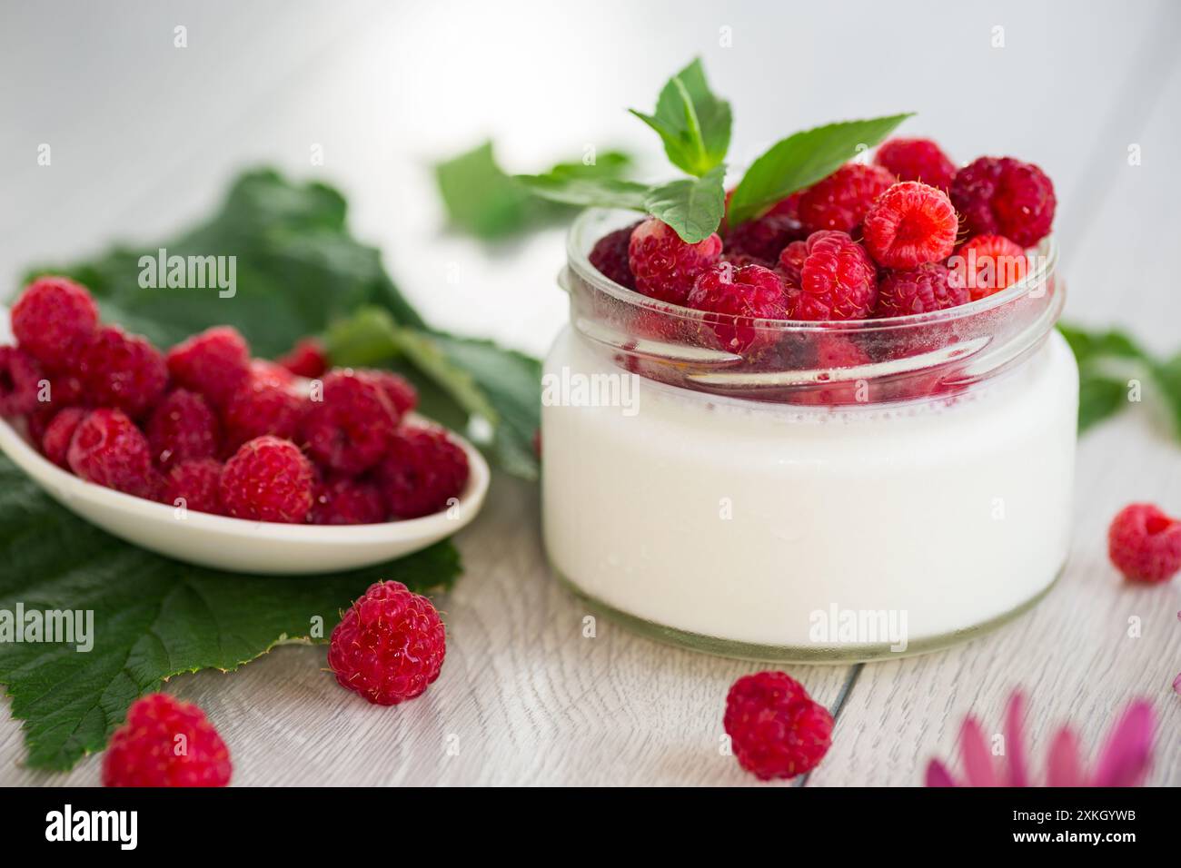 cibo fatto in casa, yogurt al latte con lamponi freschi. Foto Stock