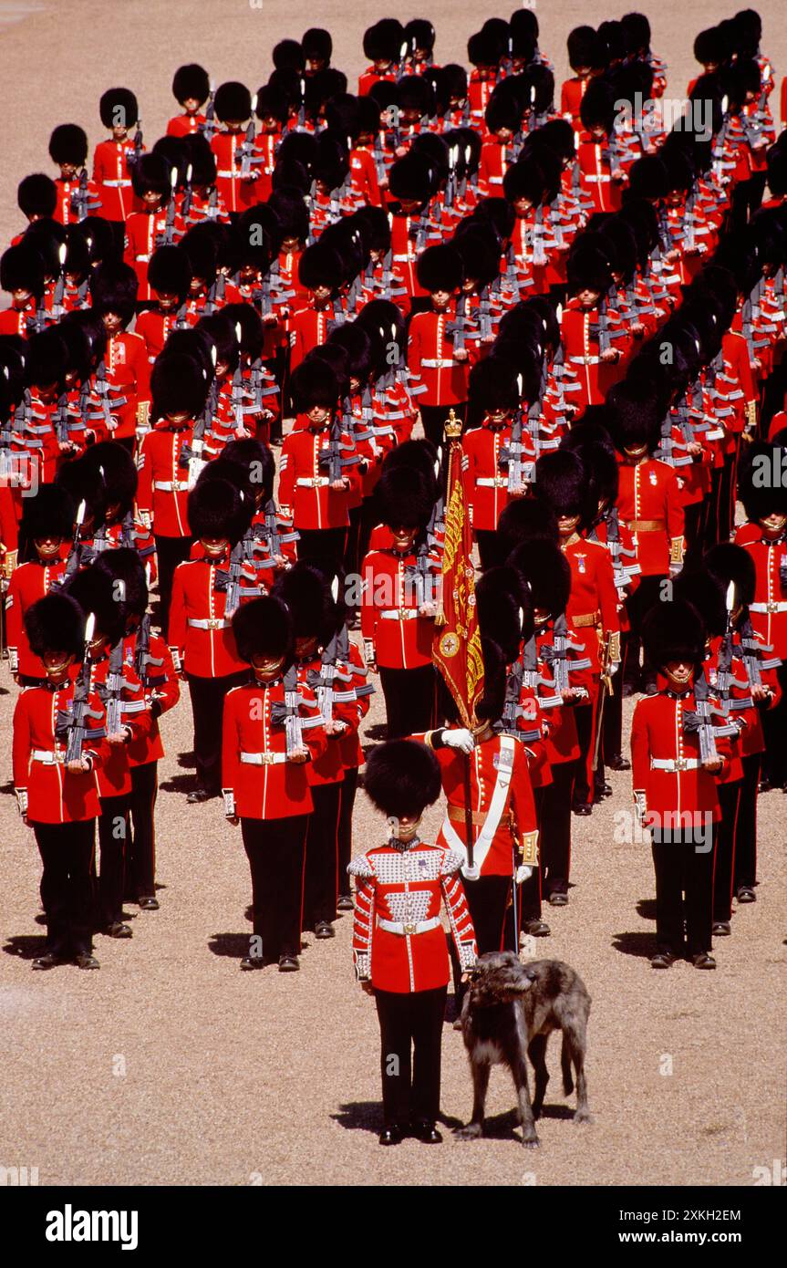 Regno Unito. Inghilterra. Londra. Trooping the Colour. Guardie. Foto Stock