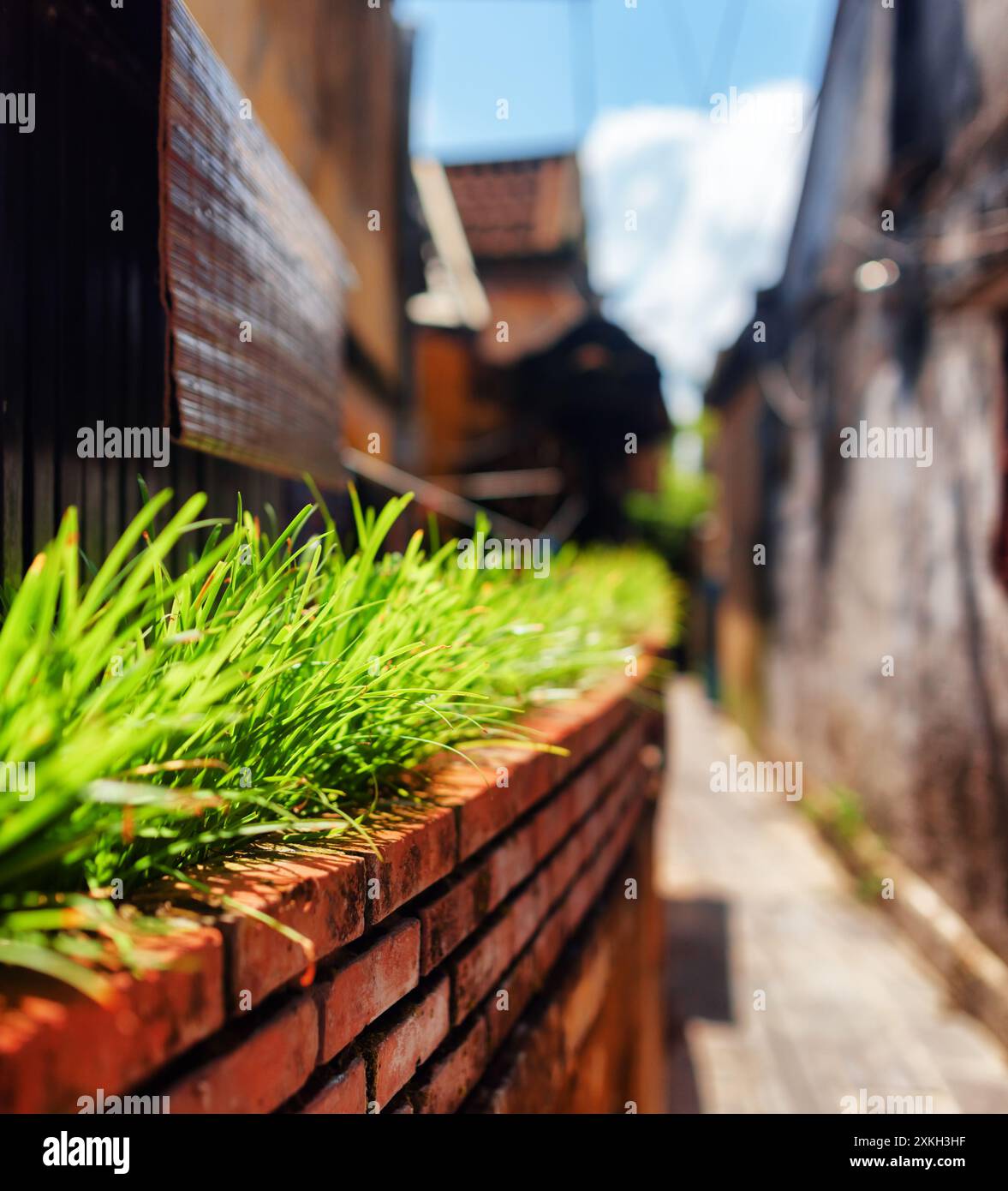 Scenografico prato verde accanto al muro della casa in una strada stretta Foto Stock