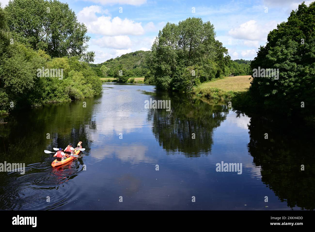 Canoisti e cani sul fiume Dart a Totnes, nel Devon meridionale. Foto Stock