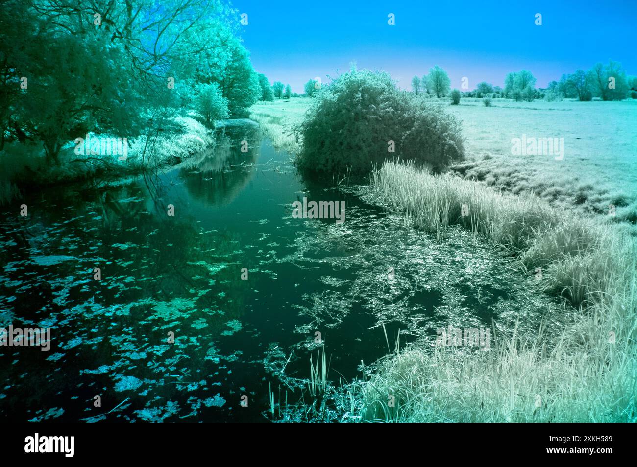 Immagine IR del torrente che alimenta il fiume waveney, mettingham, suffolk, inghilterra Foto Stock