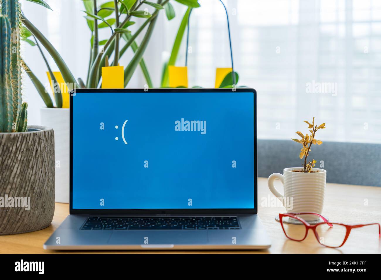 Monitor per laptop SAD con schermata blu errore sulla scrivania dell'ufficio domestico con piante decorative e occhiali rossi Foto Stock