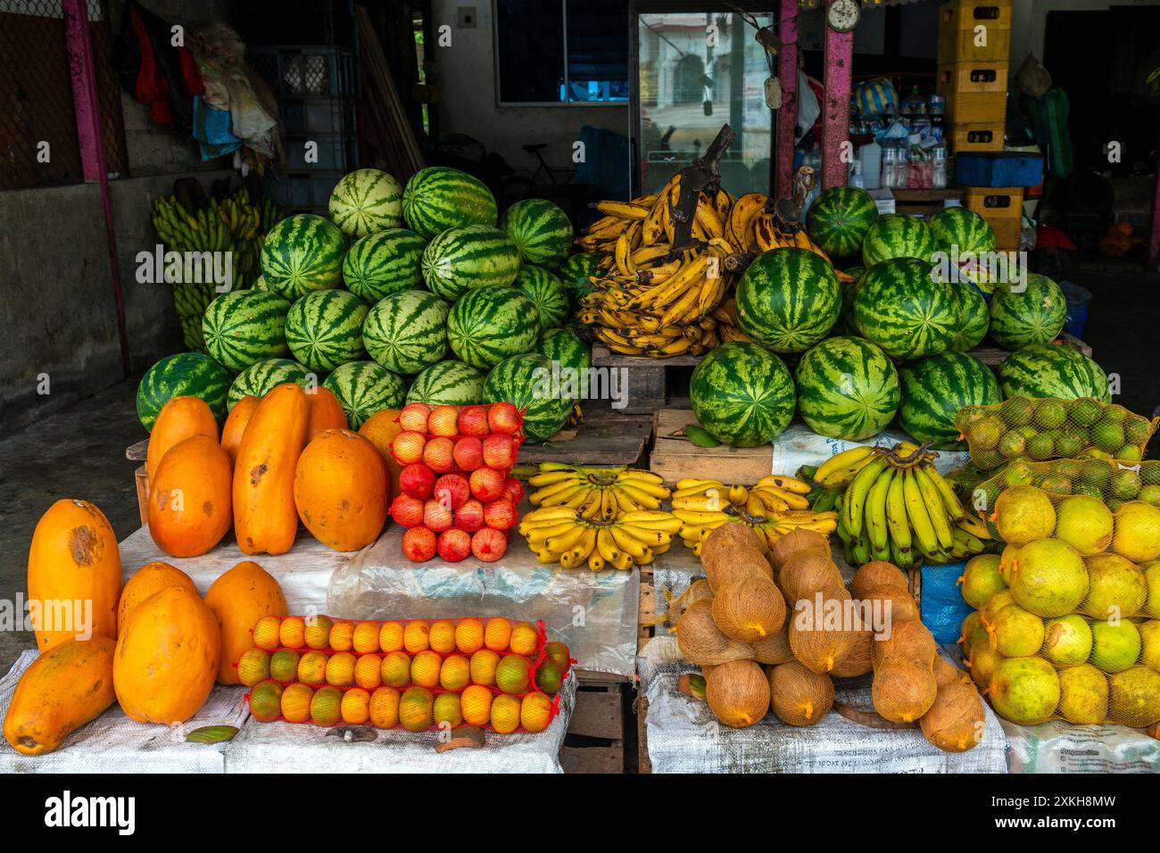 Bancarella di frutta in Ecuador con cocco, anguria, mela, banana, limone, papaya e arancio giallo. Foto Stock