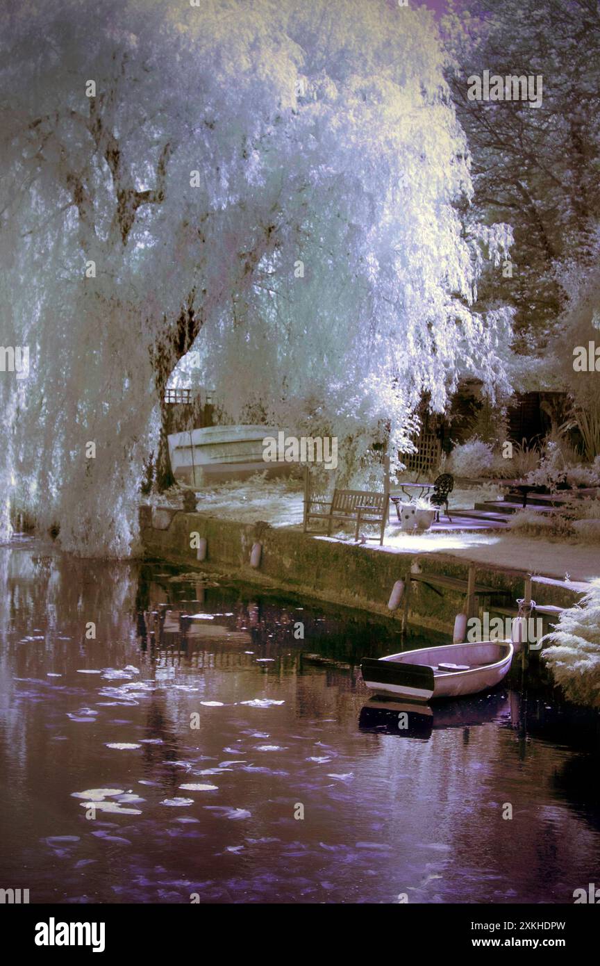 ruscello accanto al fiume waveney al falcon meadow bungay suffolk, inghilterra Foto Stock