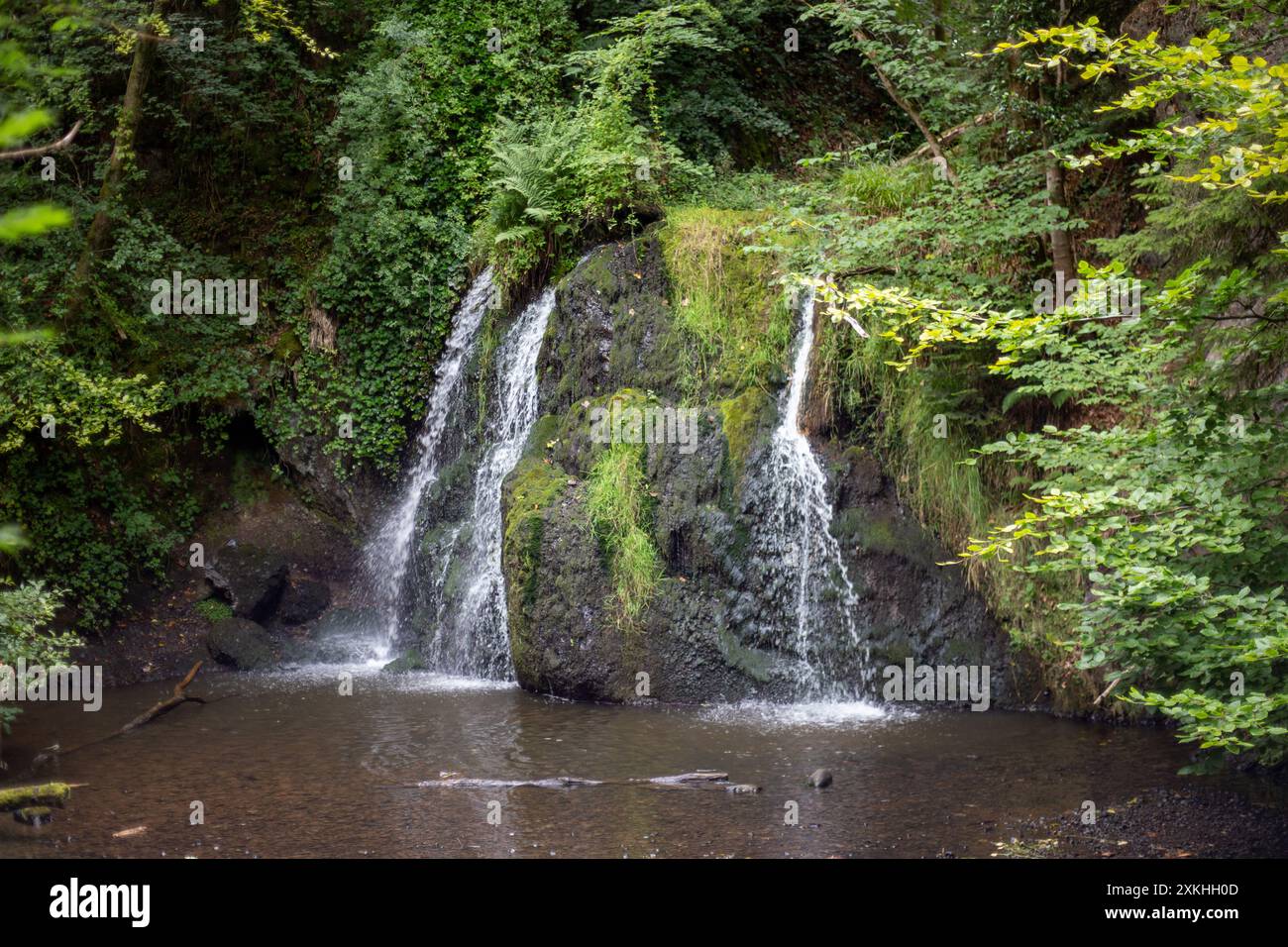 Fairy Glen Falls, Rosemarkie, Scozia, Regno Unito Foto Stock
