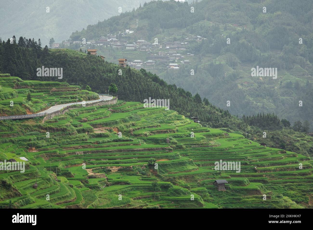 Paesaggio della terrazza jiabang guizhou cina. Foto Stock