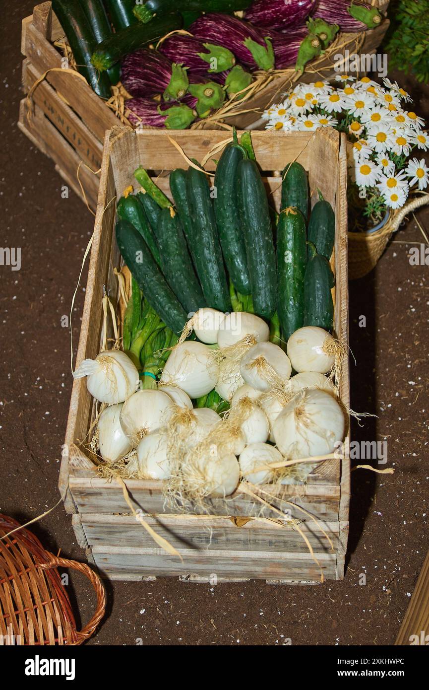 Cassa di legno con cetrioli freschi e aglio in mezzo a verdure e fiori assortiti. Un ambiente rustico che attrae chi è interessato a eati sani Foto Stock