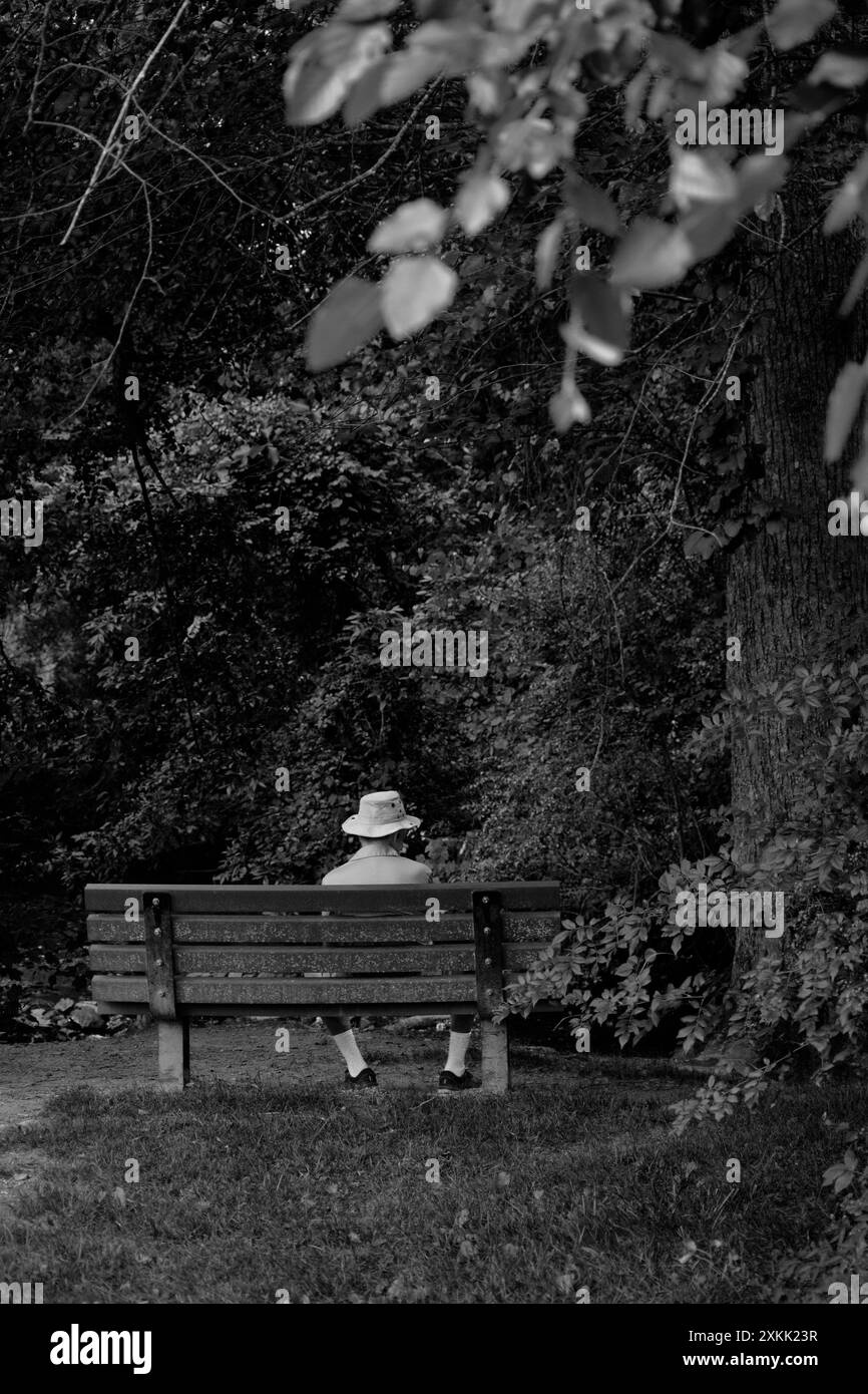 Un uomo anziano siede su una panchina di un parco a Flat Rock, North Carolina. Foto Stock