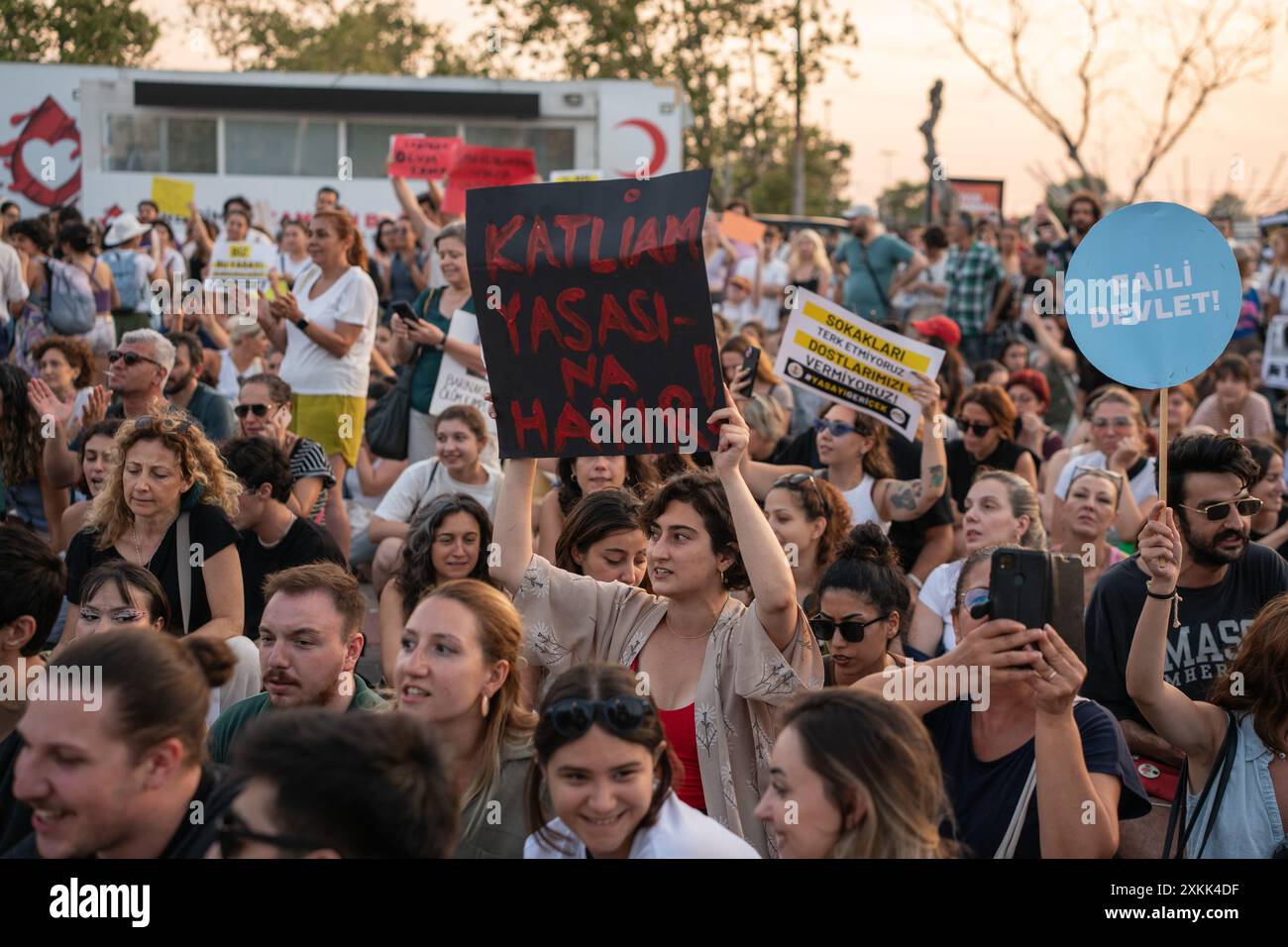 Istanbul, Turchia. 23 luglio 2024. Gli attivisti di destra animale hanno organizzato una manifestazione a Istanbul per protestare contro un disegno di legge redatto dal governo AKP del presidente Recep Tayyip Erdogan che mira a togliere i cani randagi dalle strade. I manifestanti temono che la legge comporti l'abbattimento di massa dei cani di strada, o l'eutanasia. Crediti: Ingrid Woudwijk/Alamy Live News Foto Stock