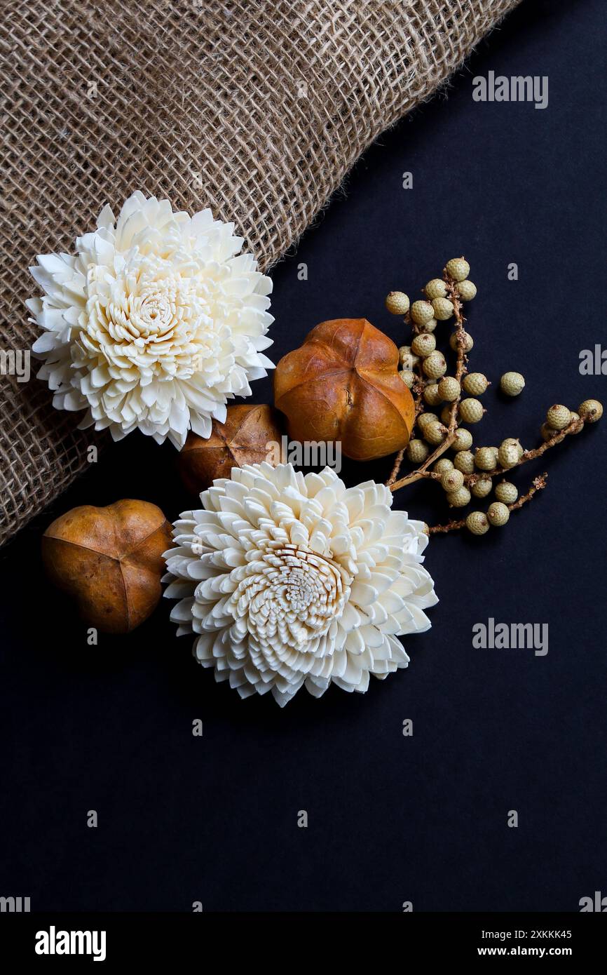 Fiori secchi decorativi, cialde di semi e rami su sfondo scuro Foto Stock