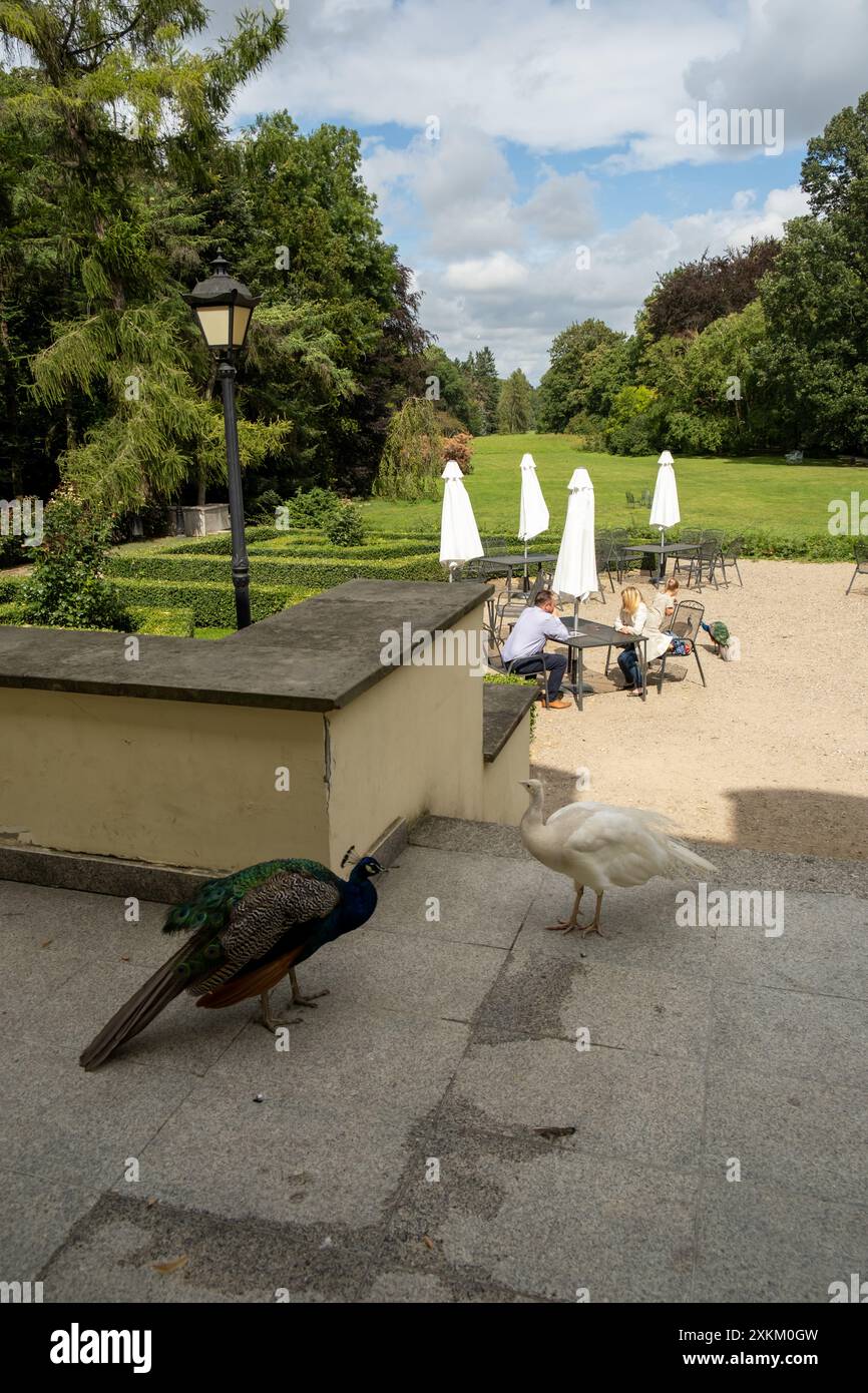 17.08.2021, Polonia, Pomerania occidentale, Przelewice - Przelewice Gardens con il maniero di fronte sono sovvenzionati dal Fondo europeo di sviluppo regionale (. Foto Stock