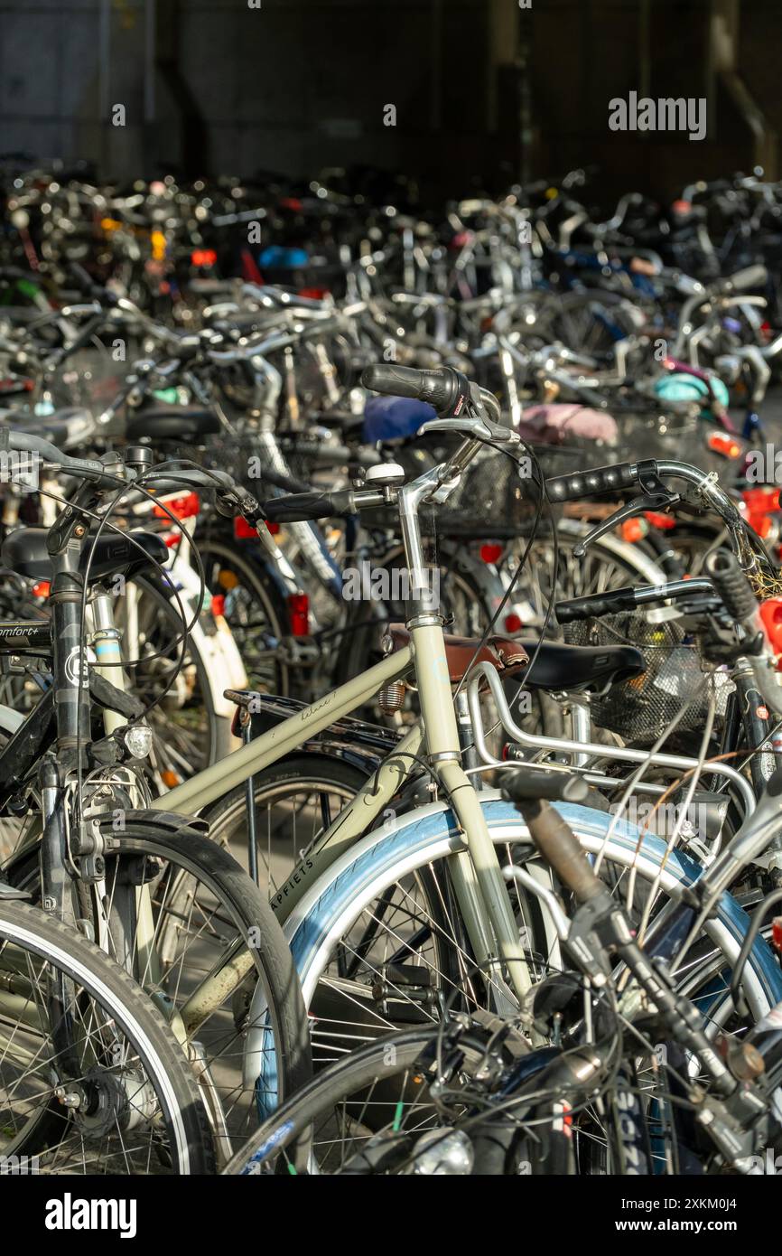 25.06.2022, Germania, Renania settentrionale-Vestfalia, Muenster - Parcheggio biciclette davanti alla stazione centrale. 00A220625D604CAROEX.JPG [VERSIONE MODELLO: NON APP Foto Stock