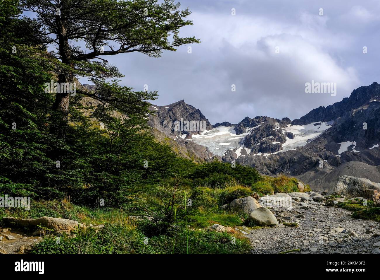 08.03.2024, Argentina, Terra del fuoco, Ushuaia - sentiero escursionistico al ghiacciaio Marziale sul Cerro Martial, la montagna locale di Ushuaia. Ushuaia è il sout Foto Stock