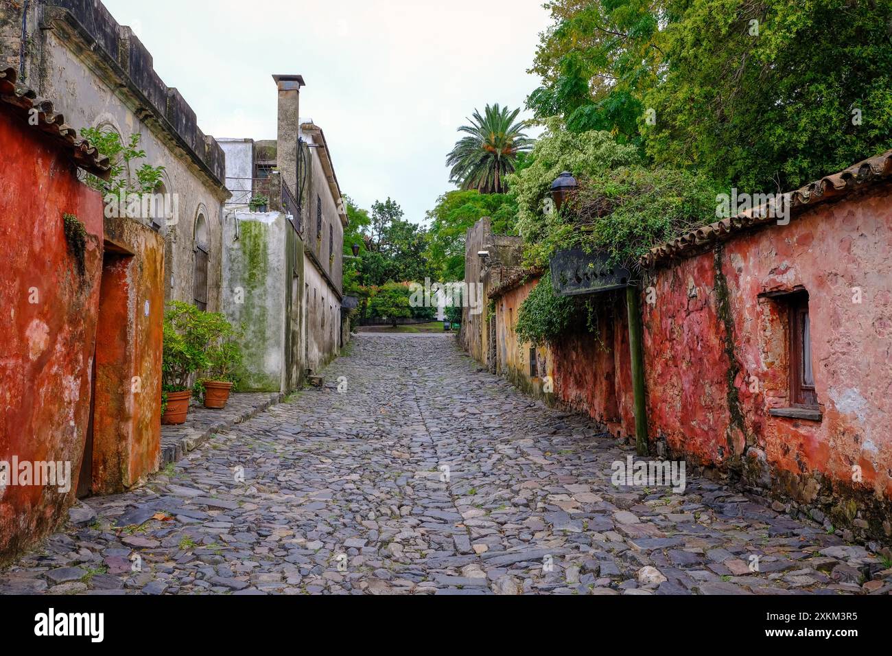 14.03.2024, Uruguay, Colonia, Colonia del Sacramento - la calle de los suspiros (strada dei sospiri) è una delle attrazioni più famose di Colonia del Sac Foto Stock