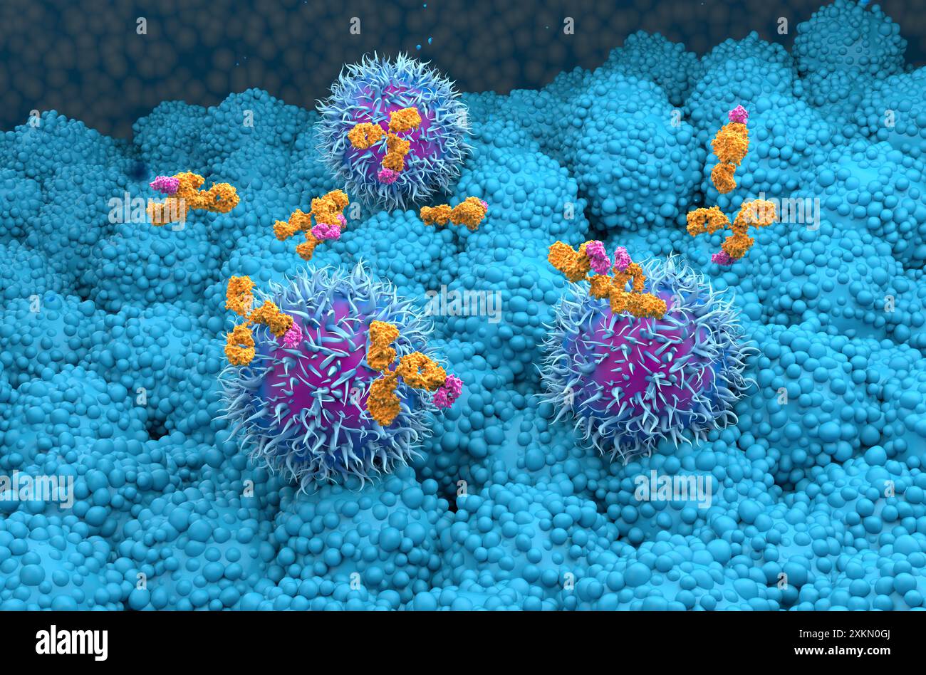 Trattamento con anticorpi monoclonali nel cancro del pancreas - Vista isometrica illustrazione 3D. Foto Stock