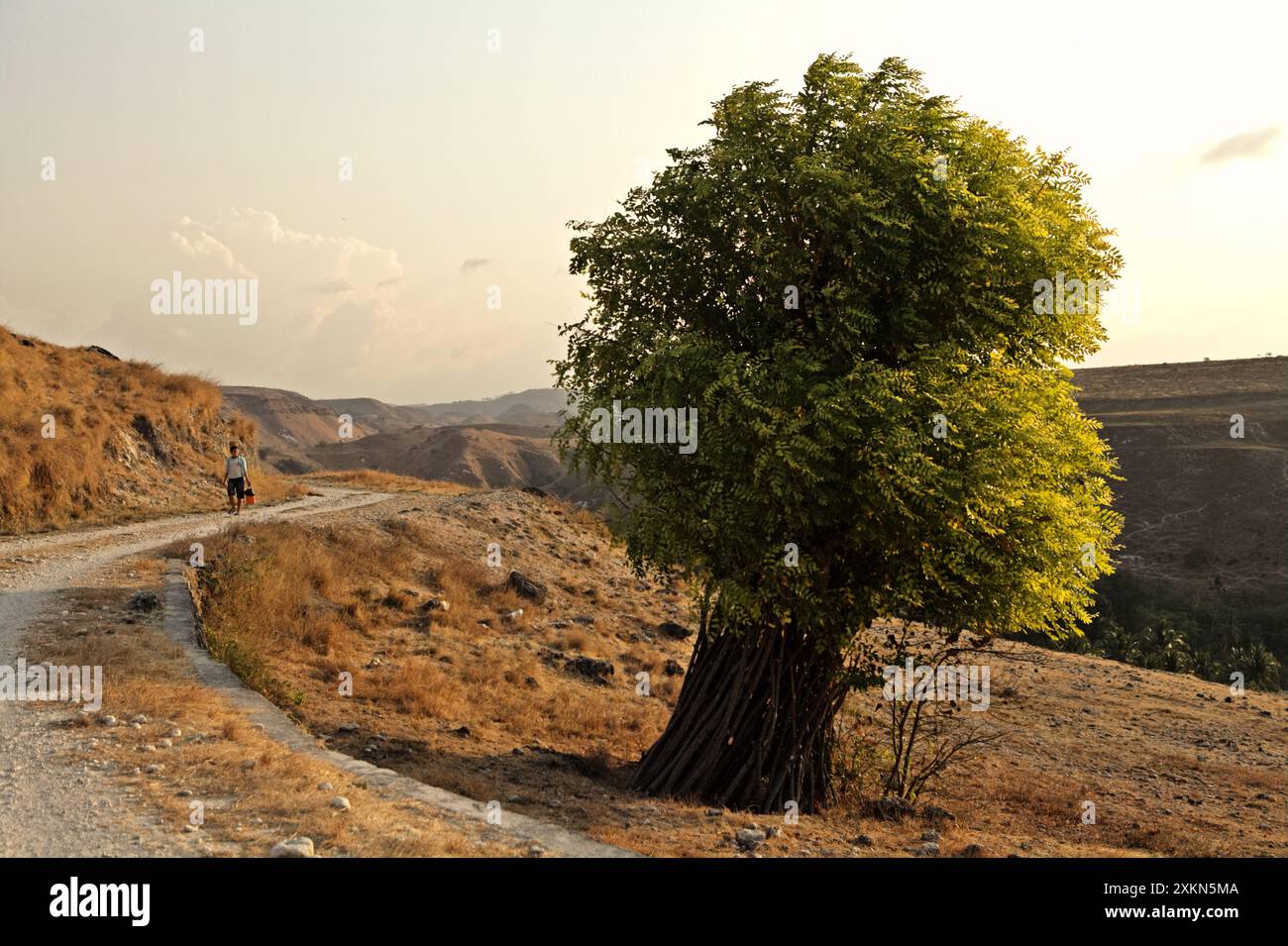 Una strada rurale in mezzo alla prateria secca durante la stagione secca a Mondu, Kanatang, Sumba orientale, Nusa Tenggara orientale, Indonesia. Foto Stock