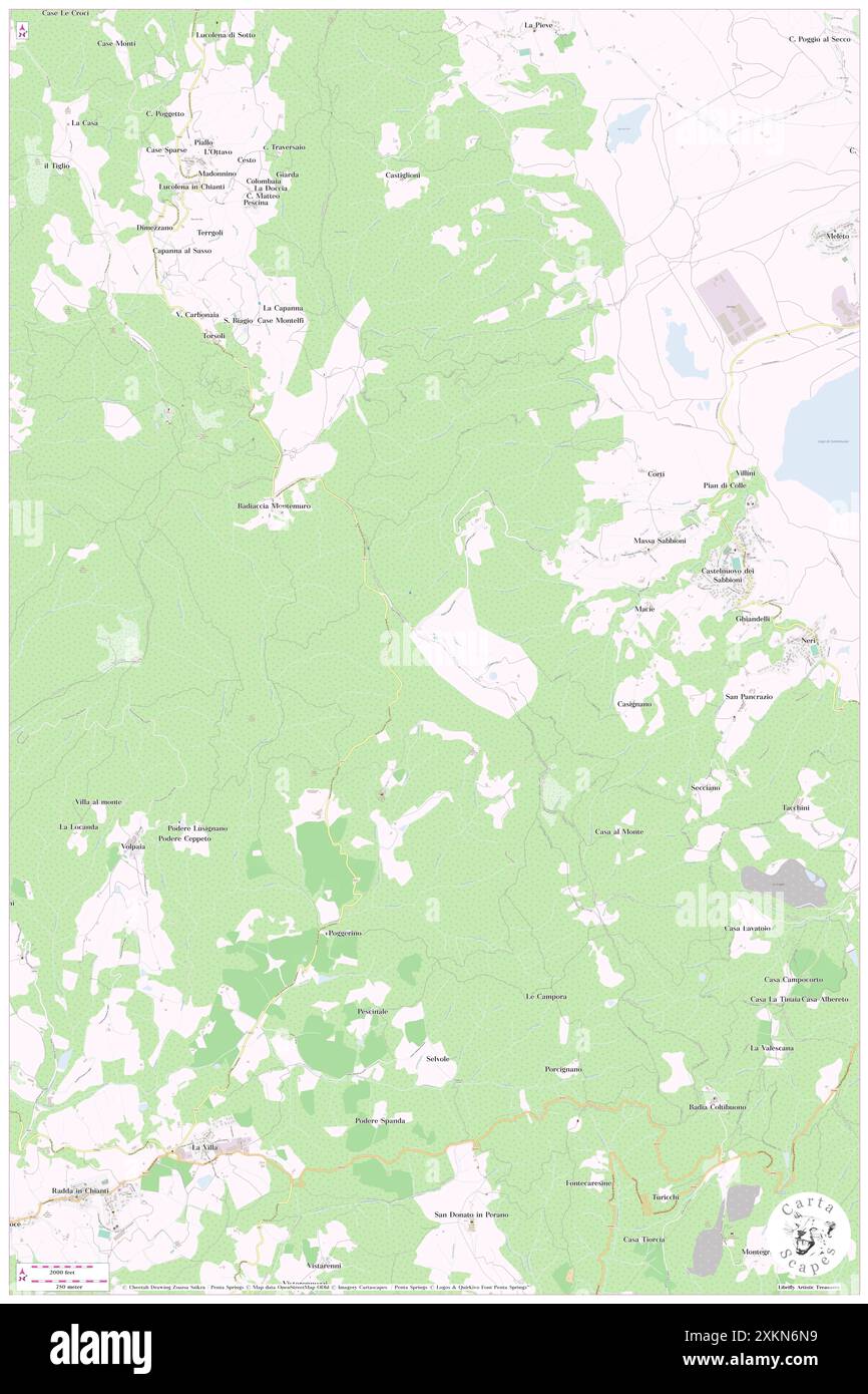 Monti del Chianti, IT, Italia, Toscana, N 43 31' 59'', N 11 25' 0'', mappa, Cartascapes Mappa pubblicata nel 2024. Esplora Cartascapes, una mappa che rivela i diversi paesaggi, culture ed ecosistemi della Terra. Viaggia attraverso il tempo e lo spazio, scoprendo l'interconnessione del passato, del presente e del futuro del nostro pianeta. Foto Stock