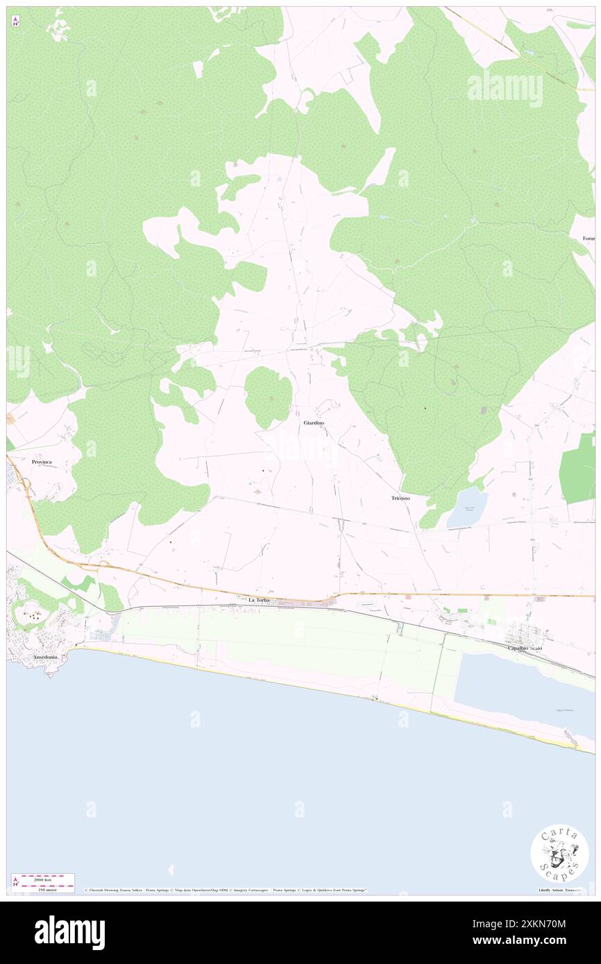 Monte Alzato, IT, Italia, Toscana, N 42 25' 59'', N 11 19' 59'', mappa, Cartascapes Mappa pubblicata nel 2024. Esplora Cartascapes, una mappa che rivela i diversi paesaggi, culture ed ecosistemi della Terra. Viaggia attraverso il tempo e lo spazio, scoprendo l'interconnessione del passato, del presente e del futuro del nostro pianeta. Foto Stock