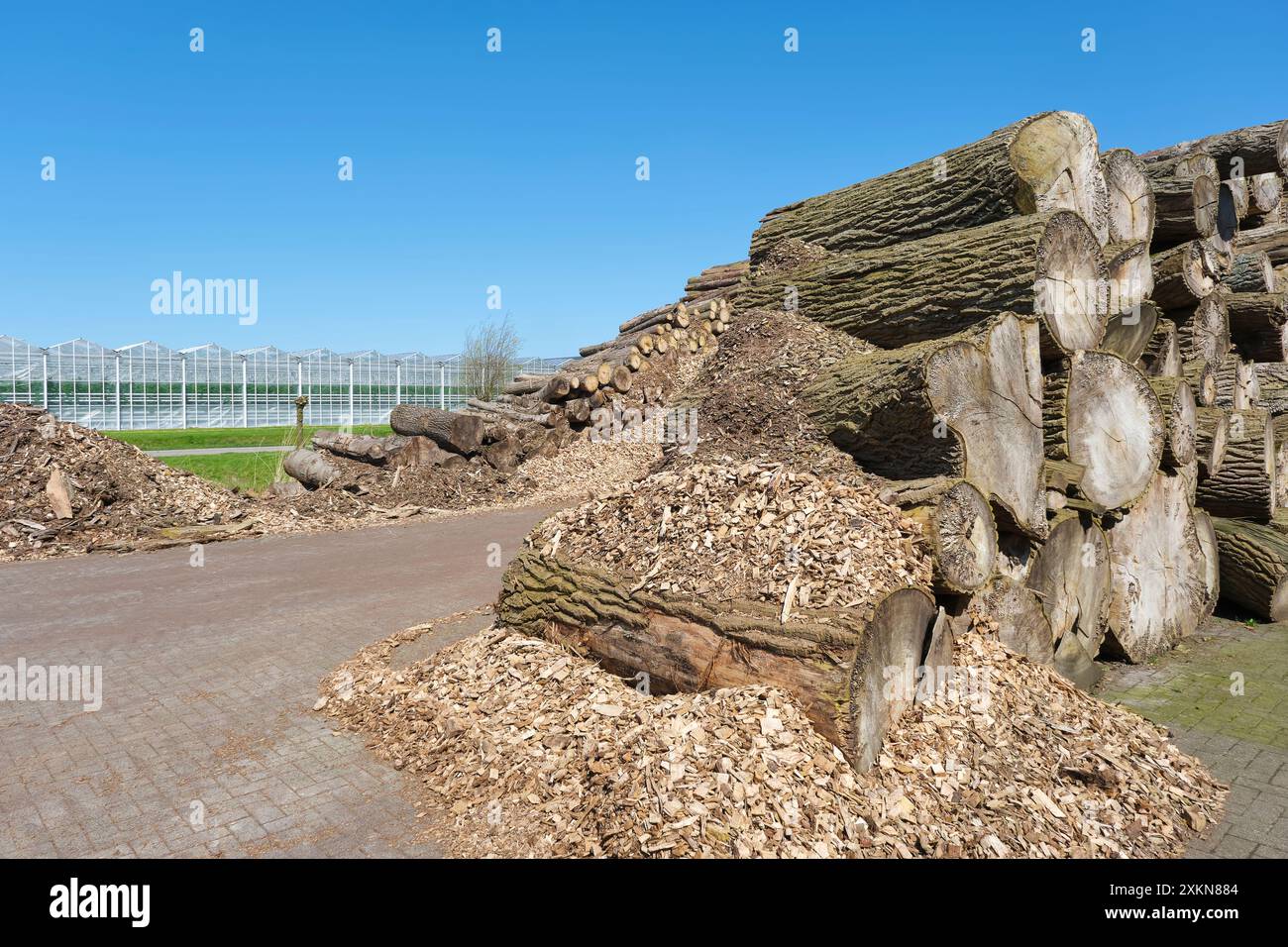 Tronchi di alberi e trucioli di legno accanto a una stazione di energia a biomassa. La stazione utilizza la biomassa del legno di scarto come fonte di energia e fornisce elettricità e calore Foto Stock