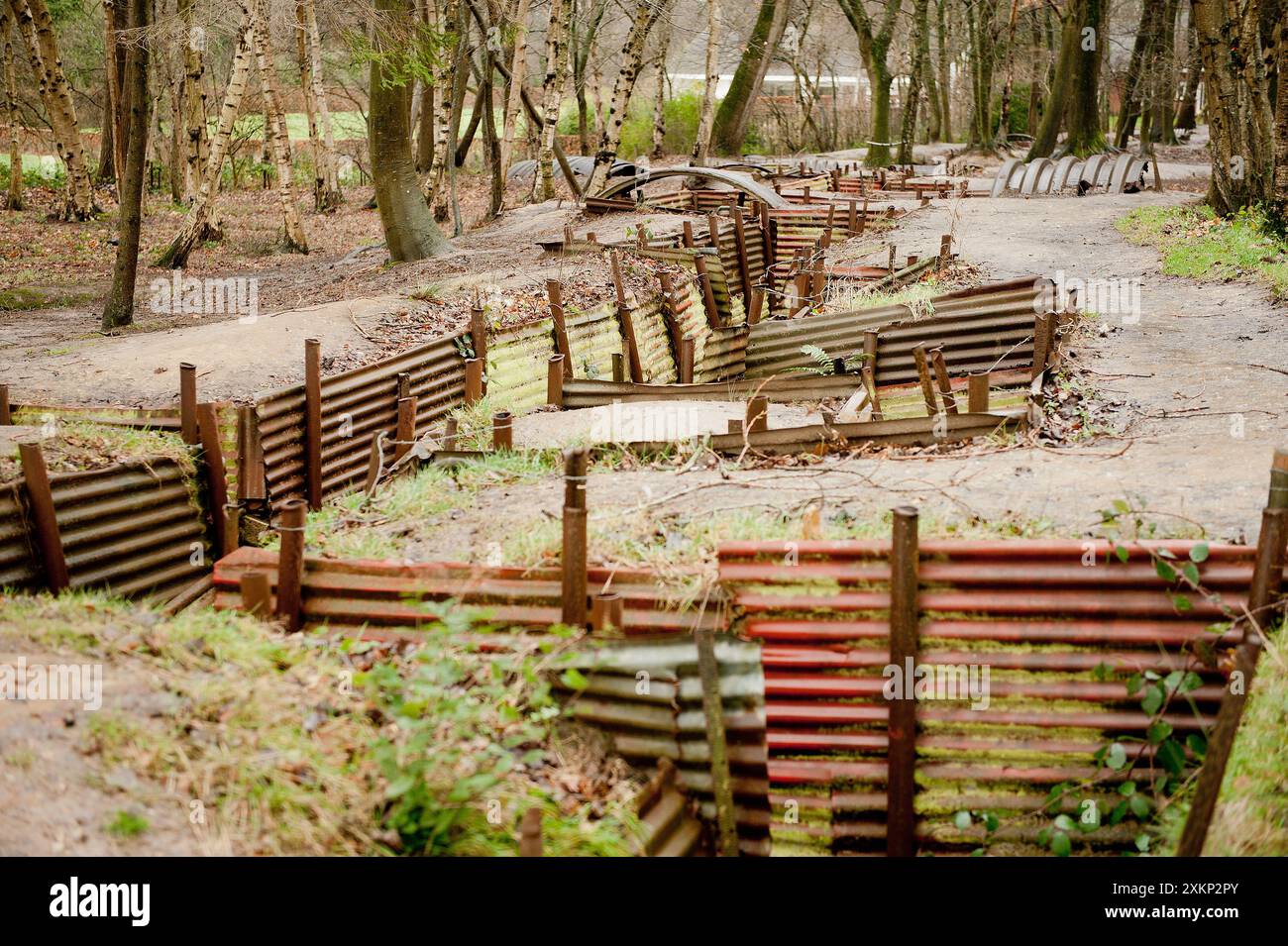 Le trincee e i dugouts alleati della prima guerra mondiale conservati a Sanctuary Wood, Fiandre, Ypres, Belgio. Foto Stock