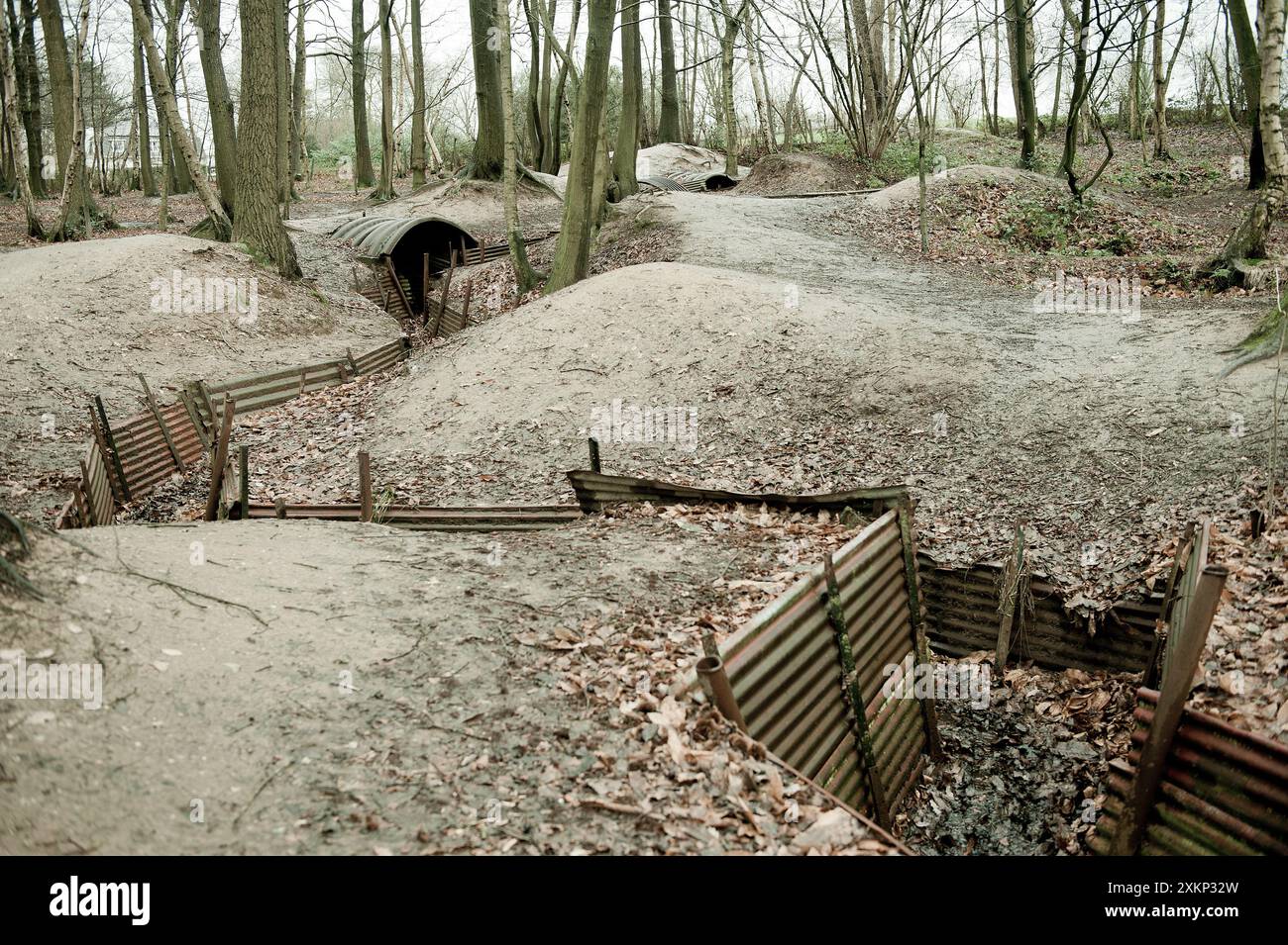 Le trincee e i dugouts alleati della prima guerra mondiale conservati a Sanctuary Wood, Fiandre, Ypres, Belgio. Foto Stock