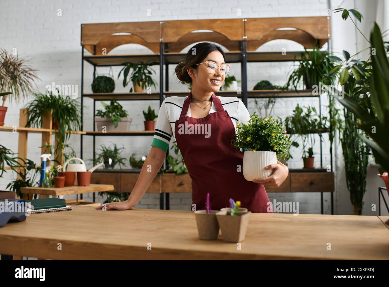 Una bella donna asiatica in un grembiule lavora al banco del suo stabilimento, tenendo in mano una pianta in vaso e pronta a servire i clienti. Foto Stock